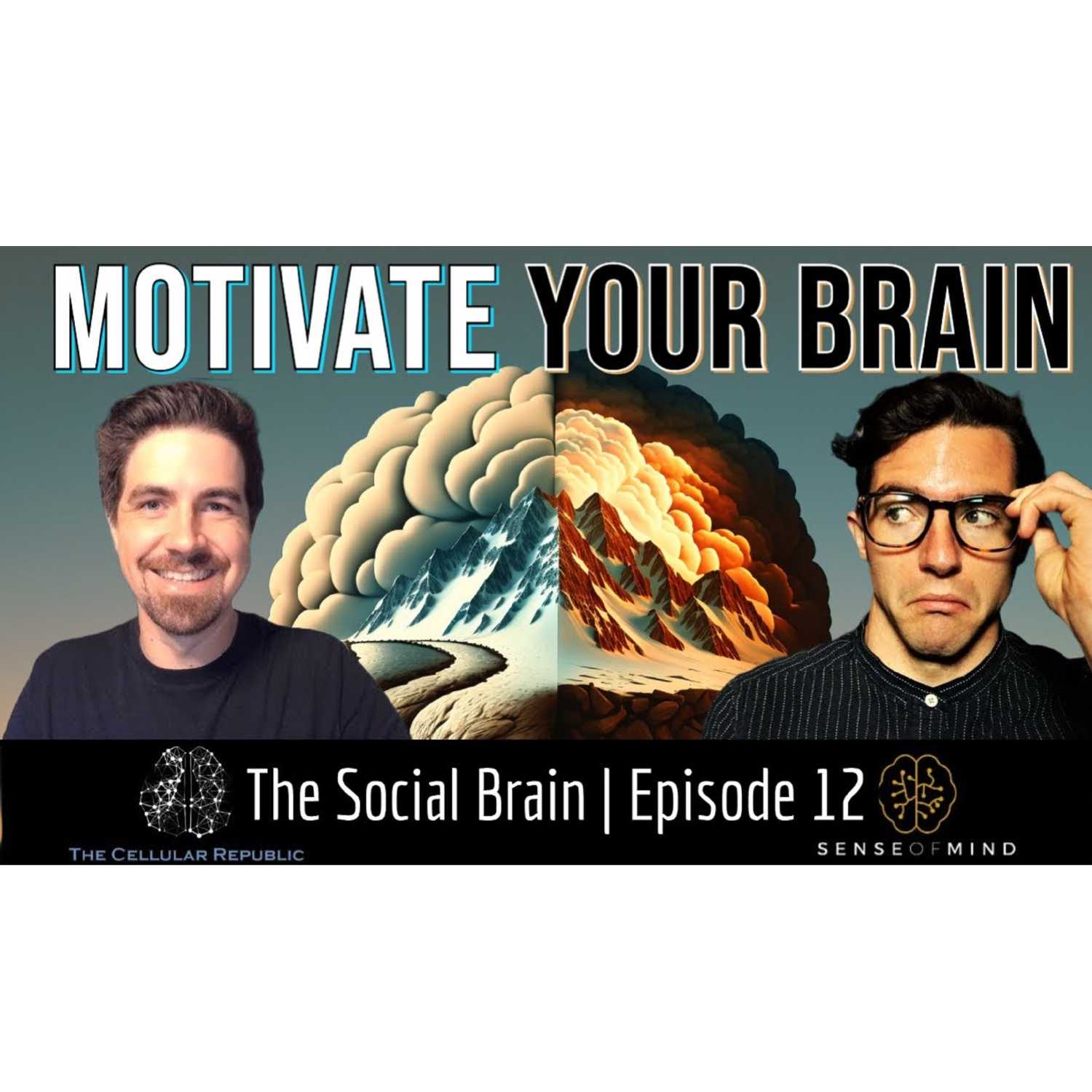 The Social Brain