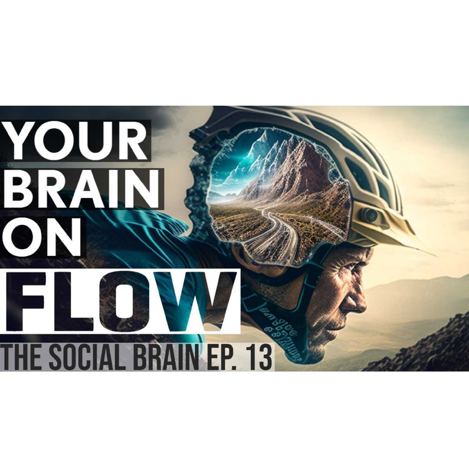 The Social Brain