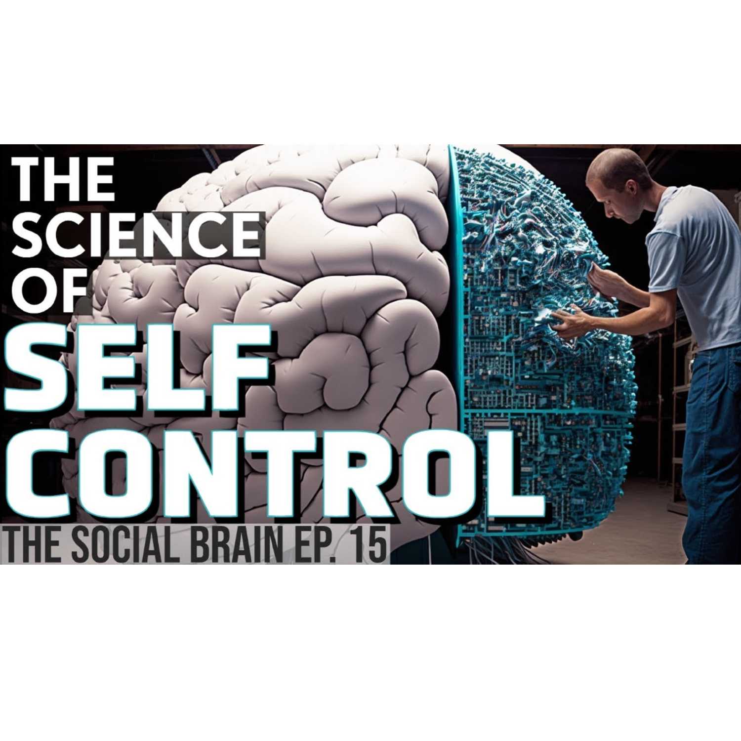 The Social Brain