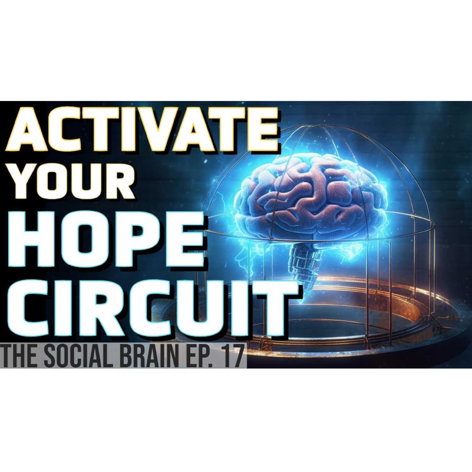 The Social Brain
