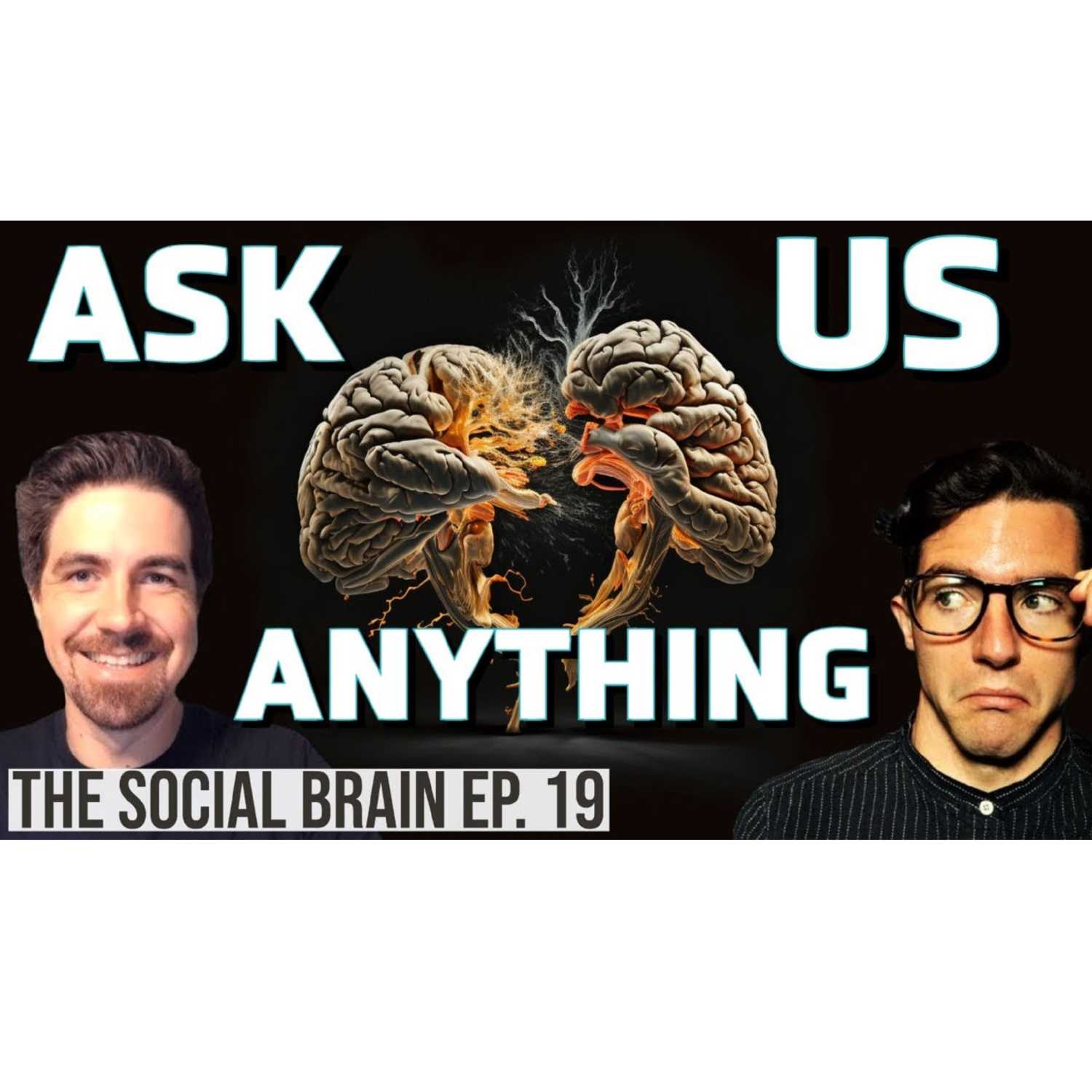 The Social Brain
