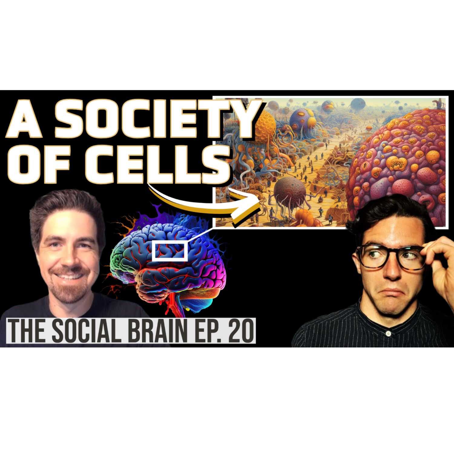 The Social Brain