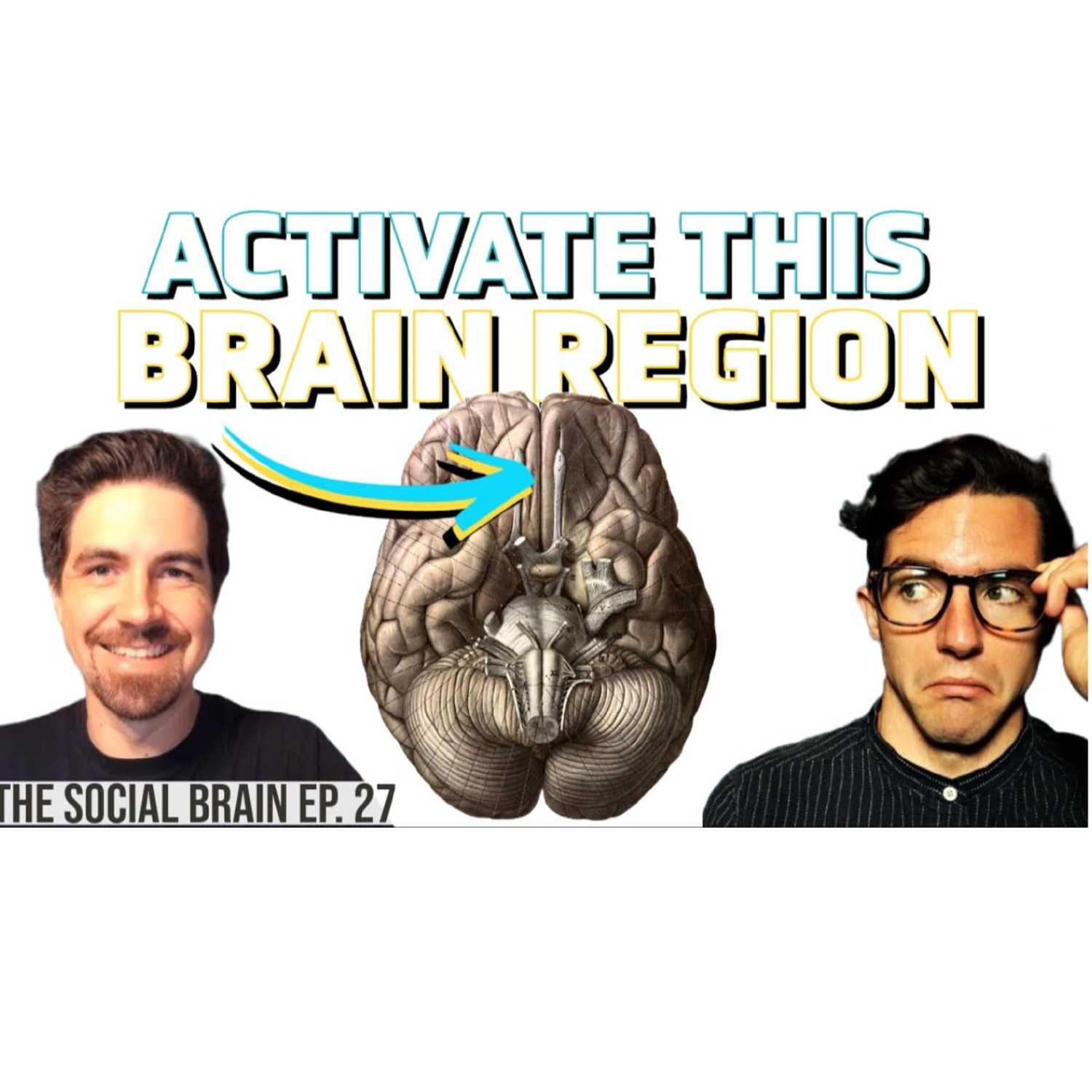 The Social Brain