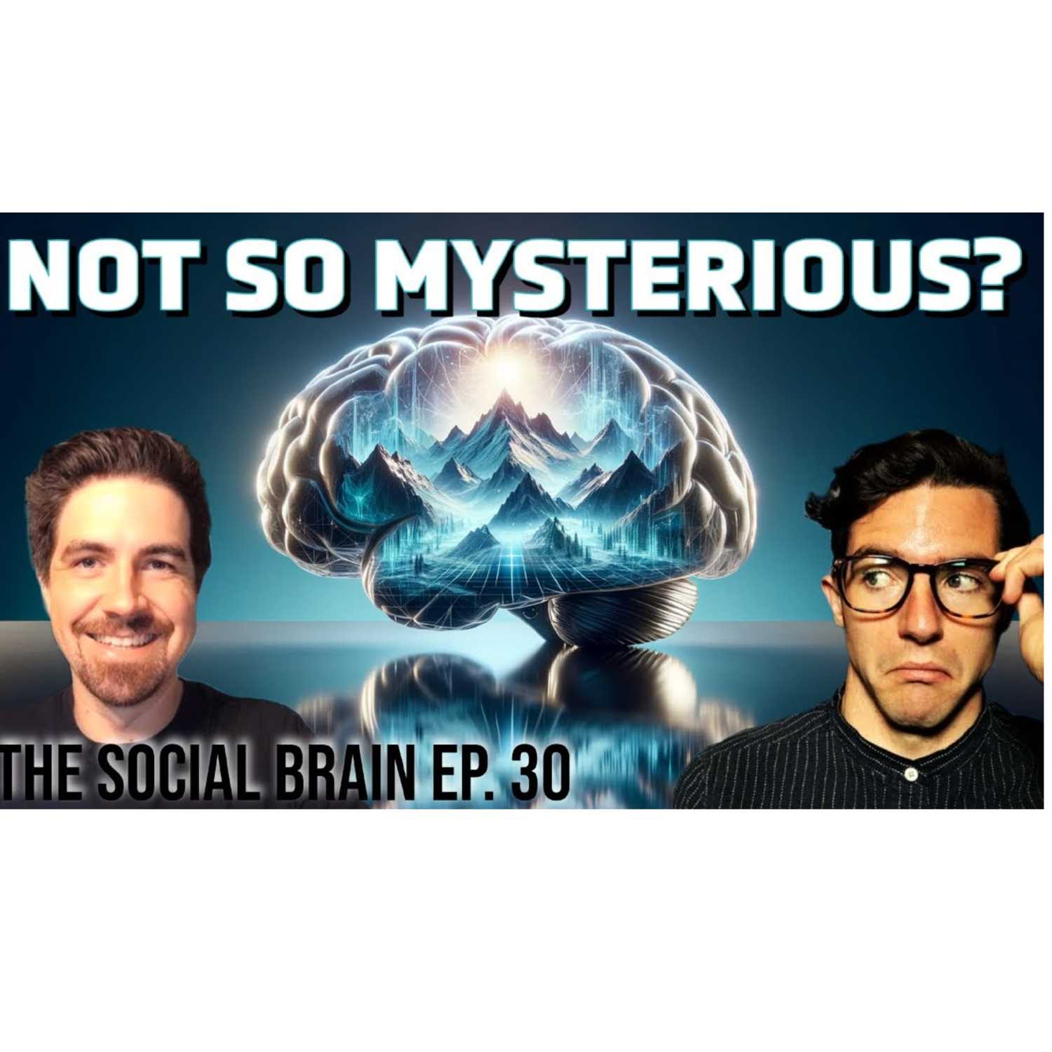 The Social Brain