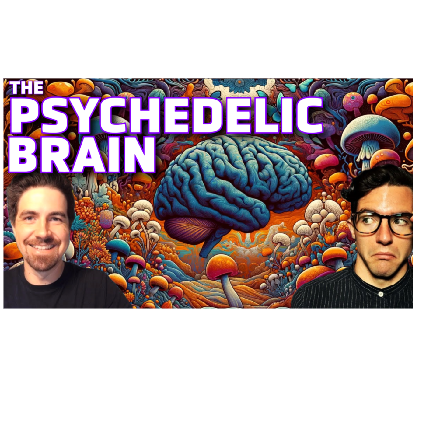 The Social Brain