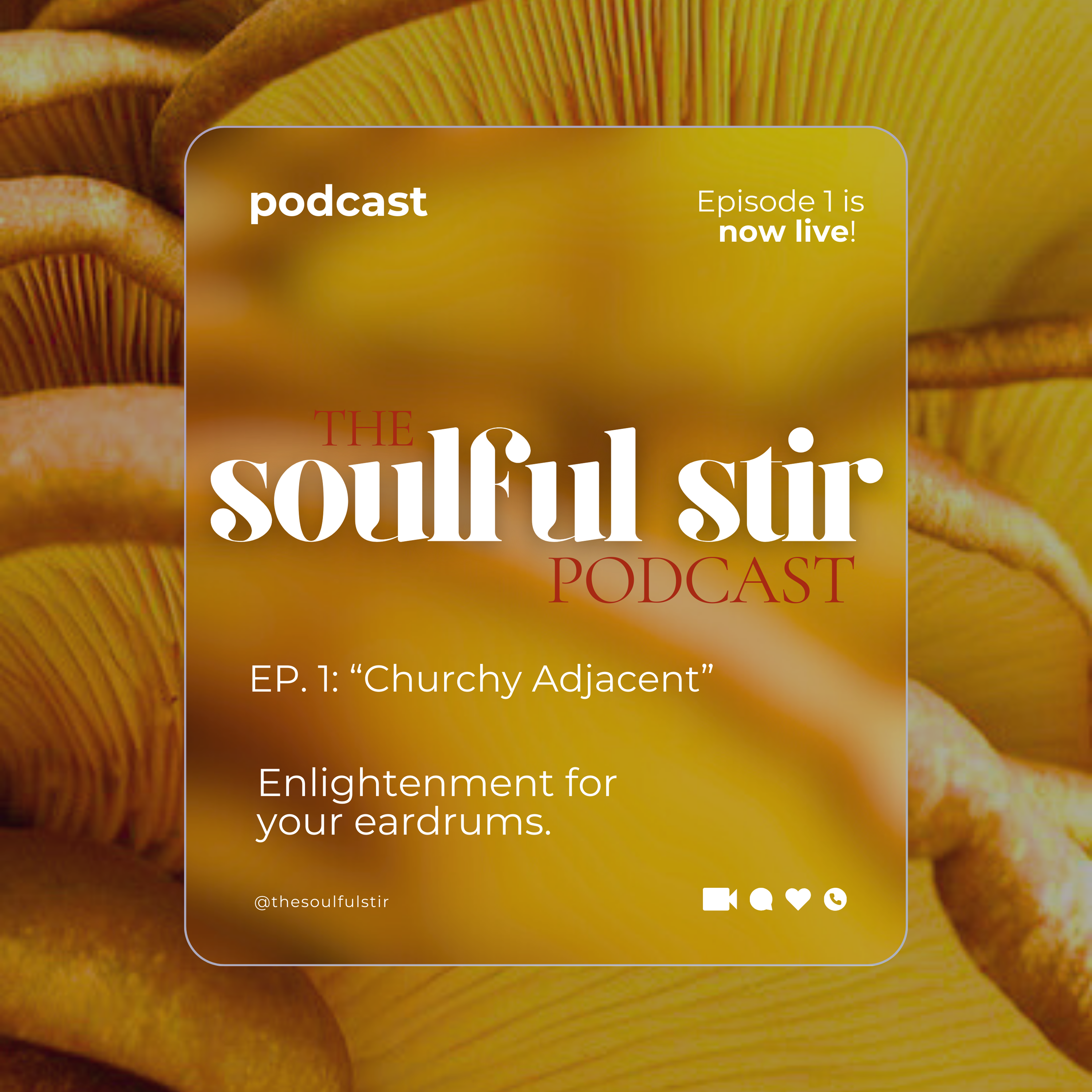 The Soulful Stir
