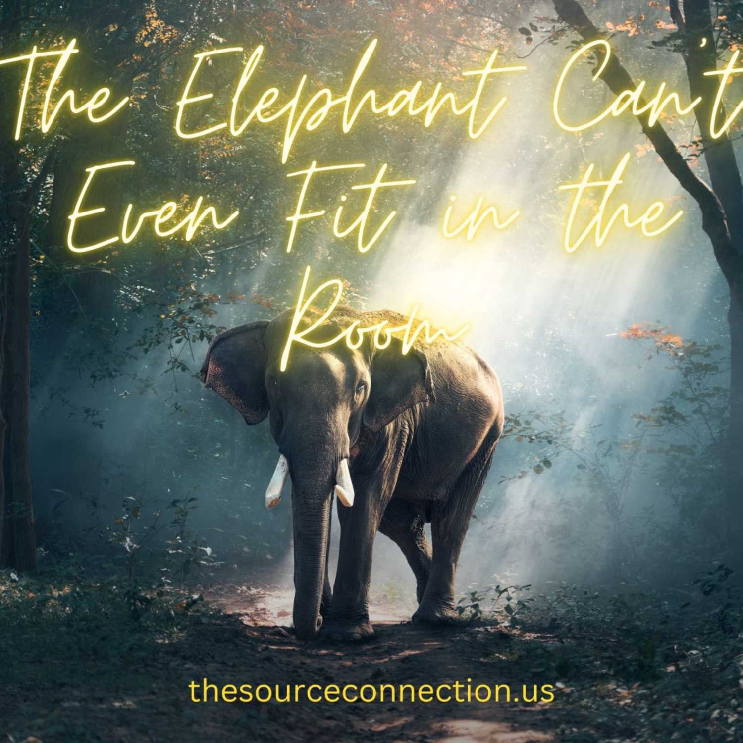 The Source Connection