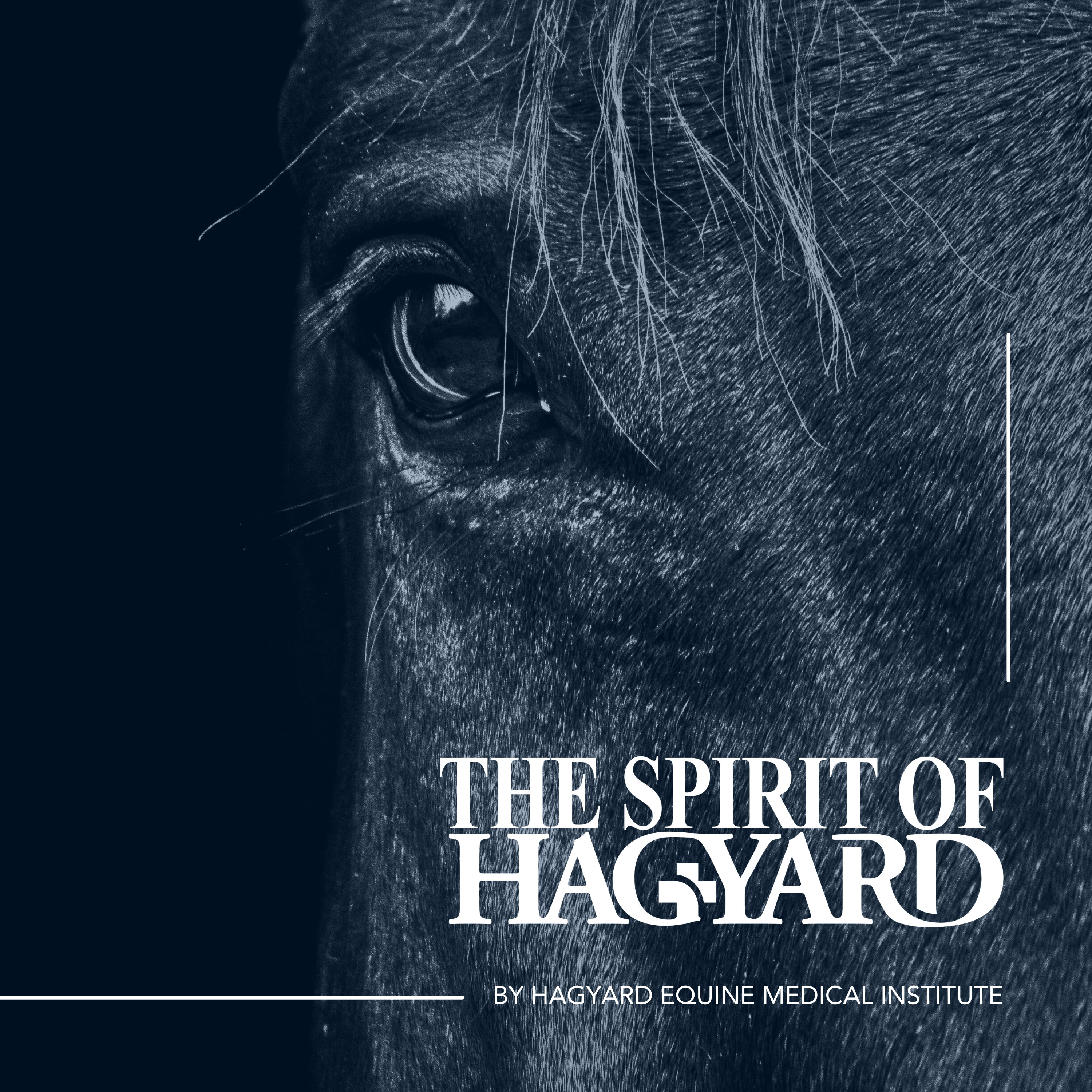 The Hagyard Externship Program