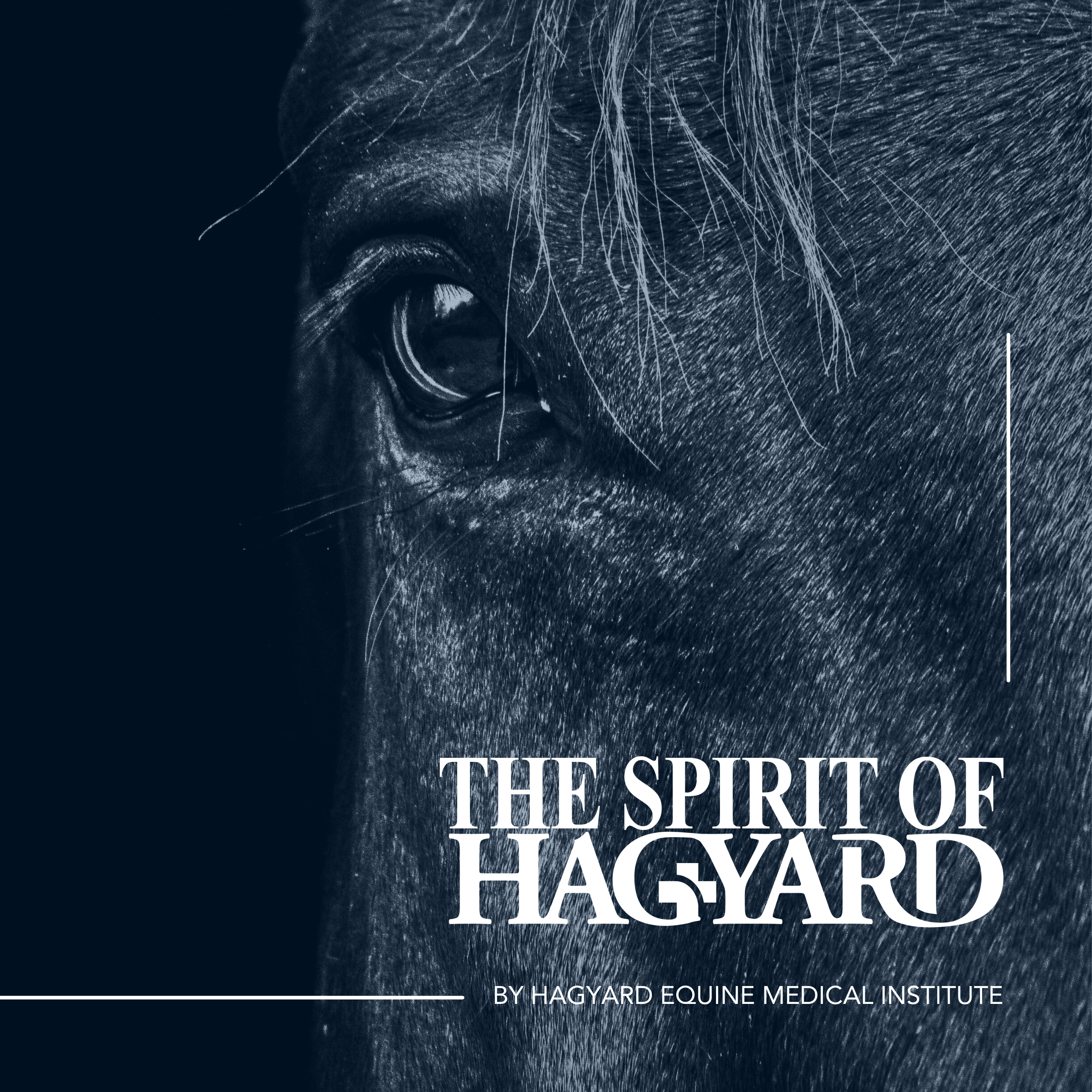Hagyard Laboratory: All Roads Lead to the Lab