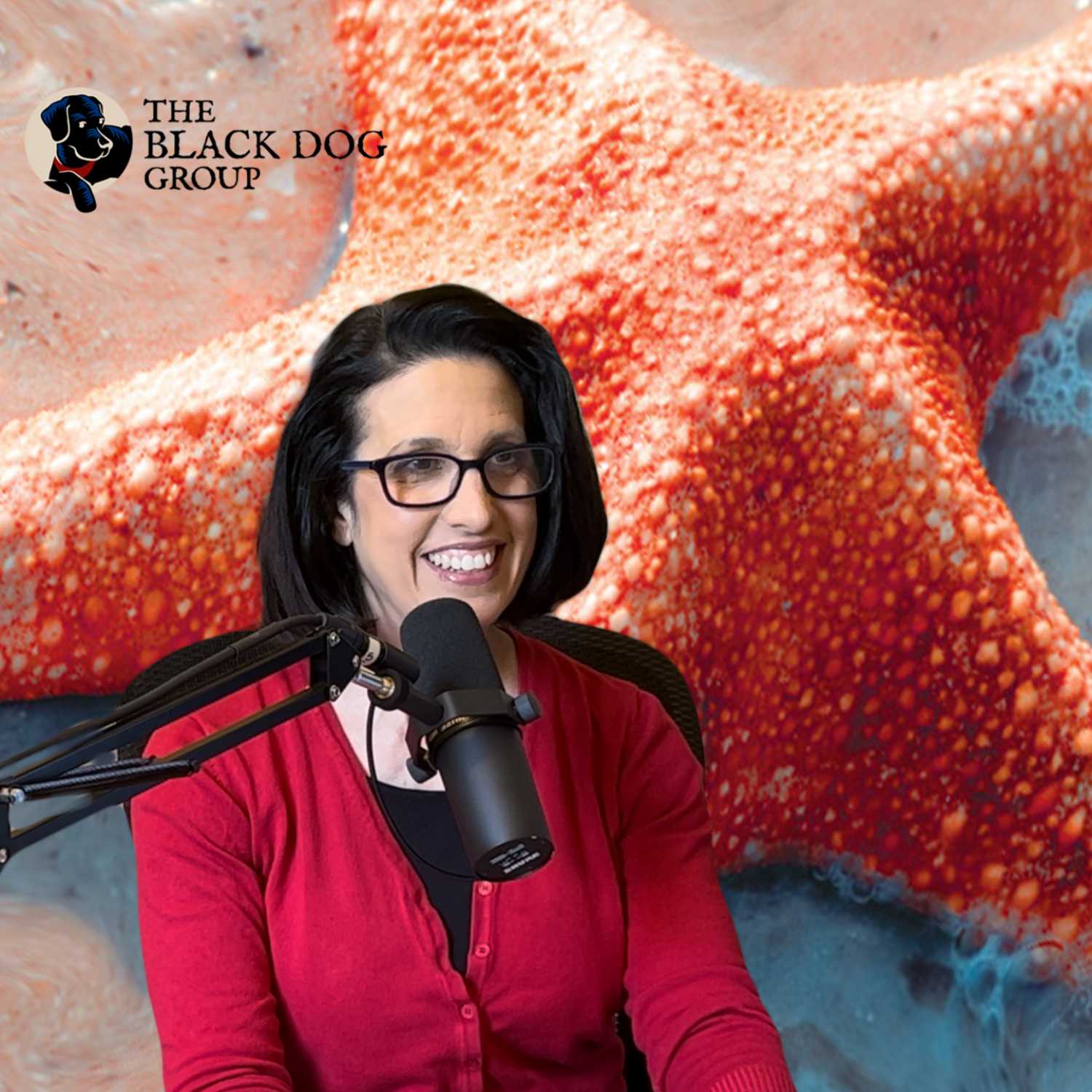 The Starfish Storytellers