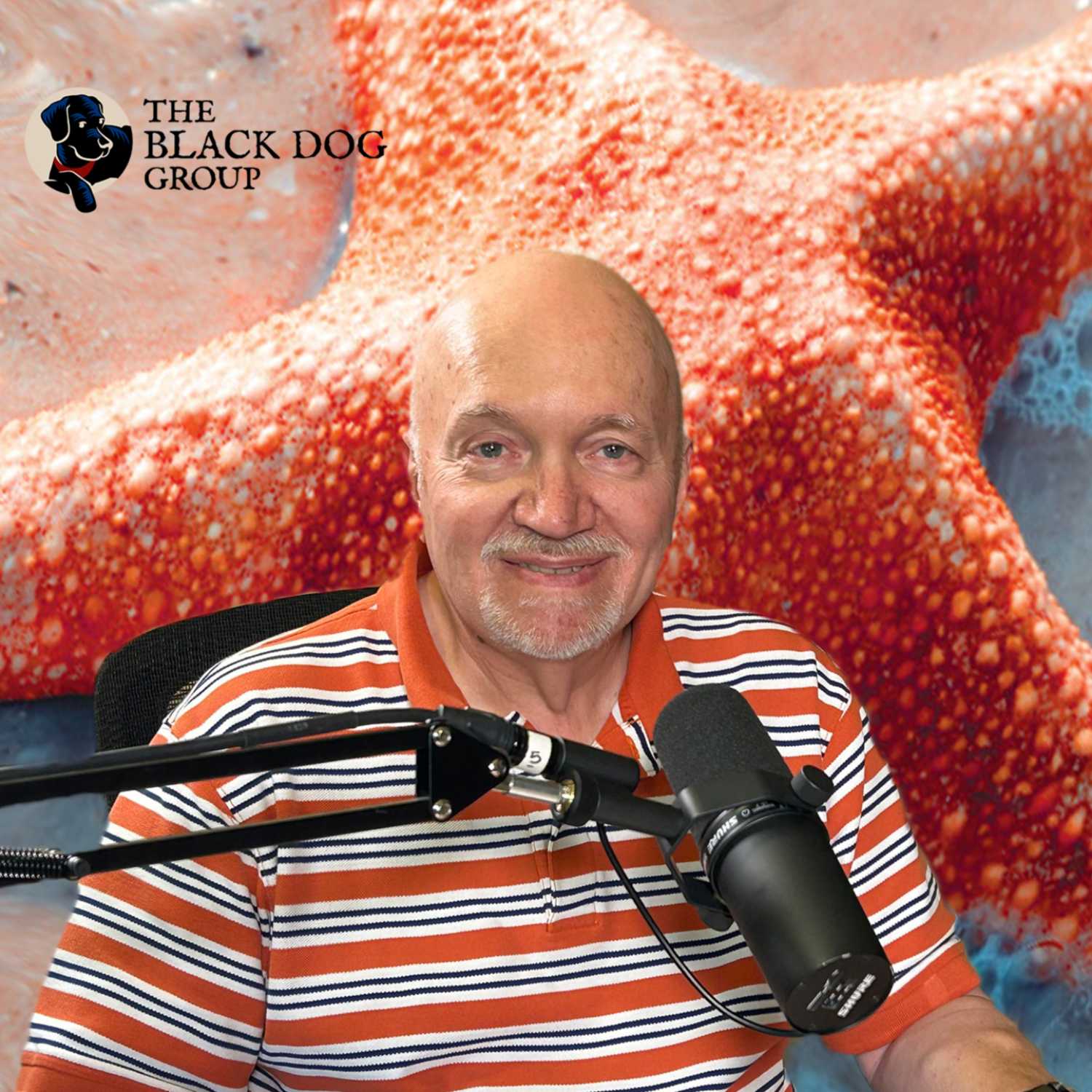 The Starfish Storytellers