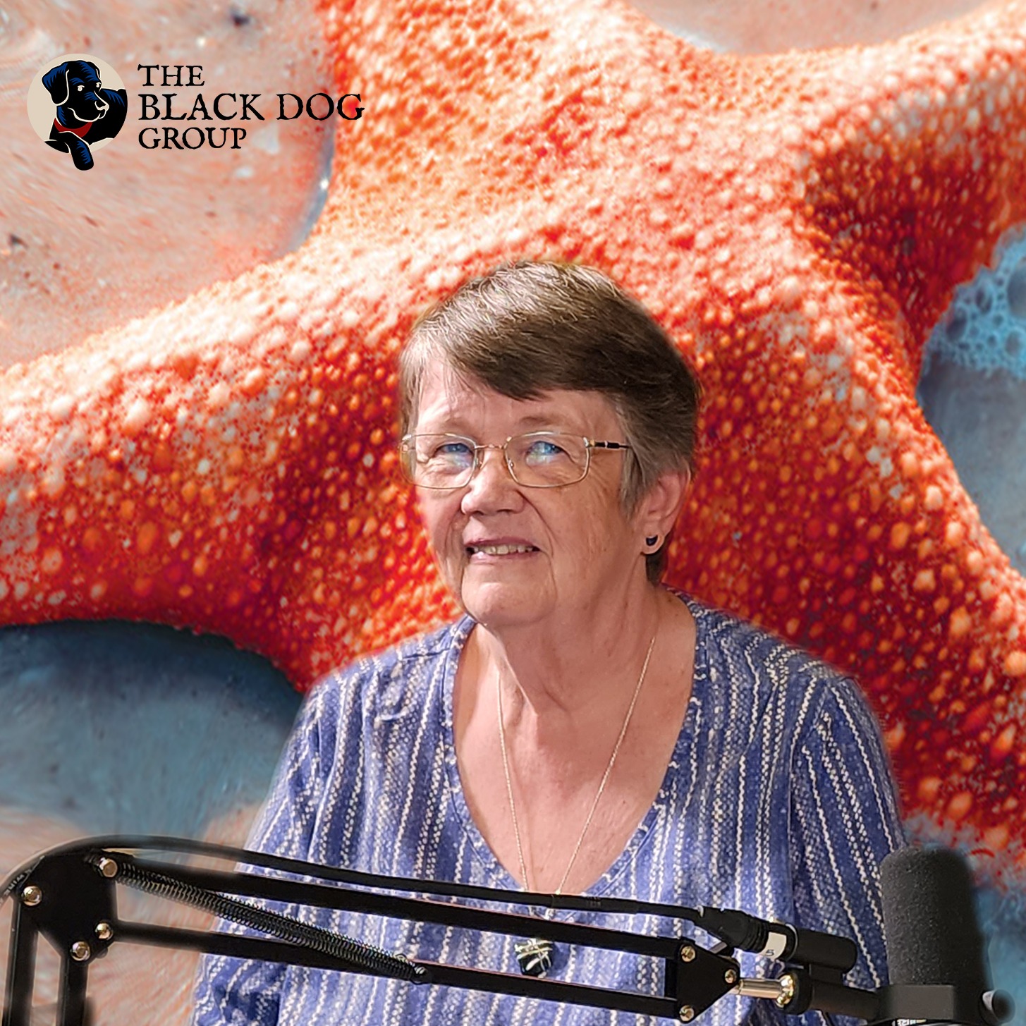 The Starfish Storytellers