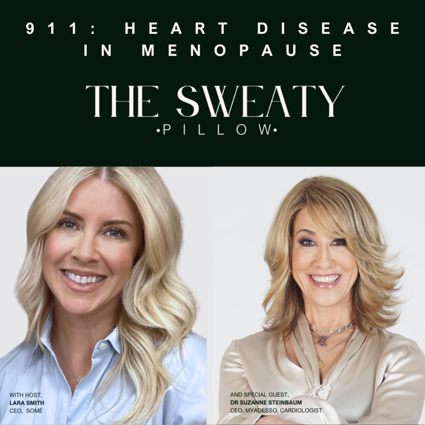 THE SWEATY PILLOW