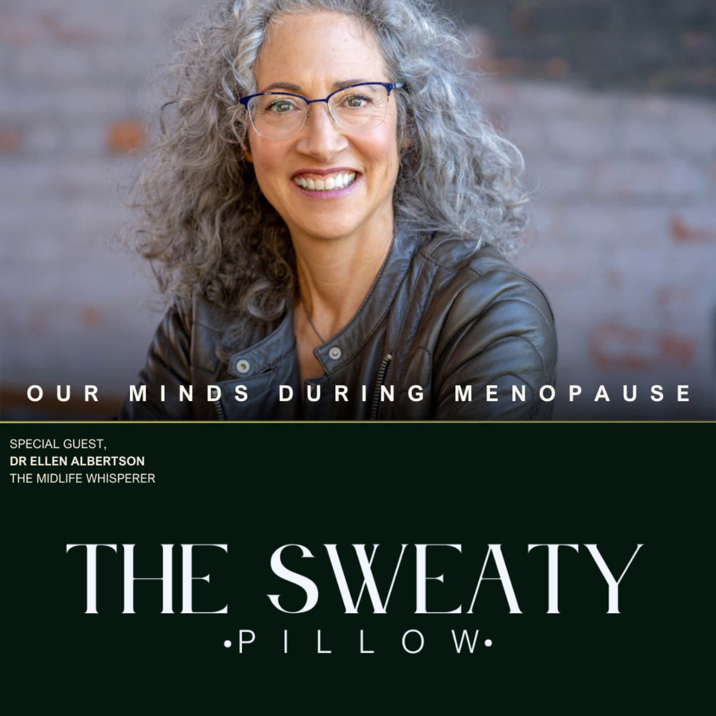 THE SWEATY PILLOW