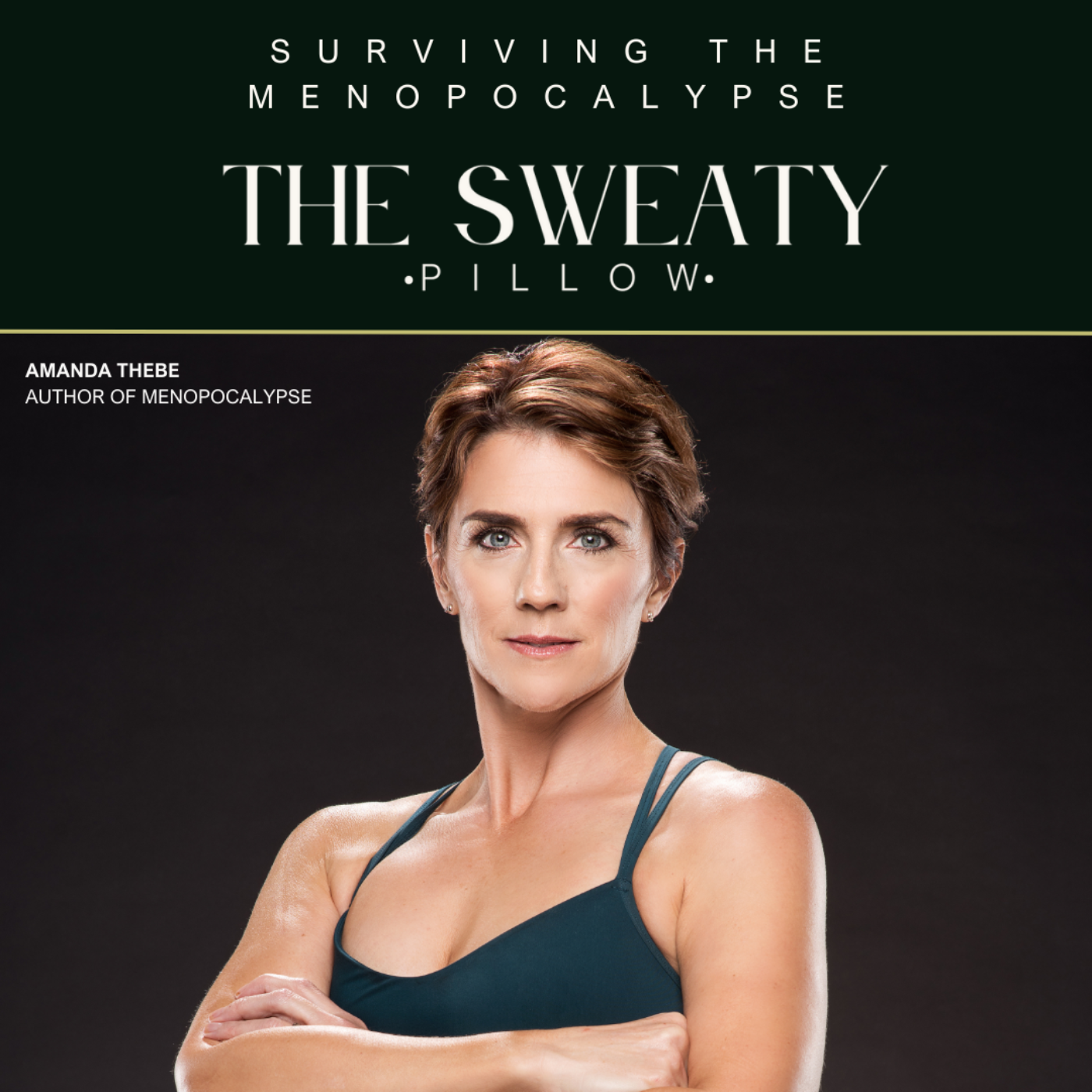 THE SWEATY PILLOW