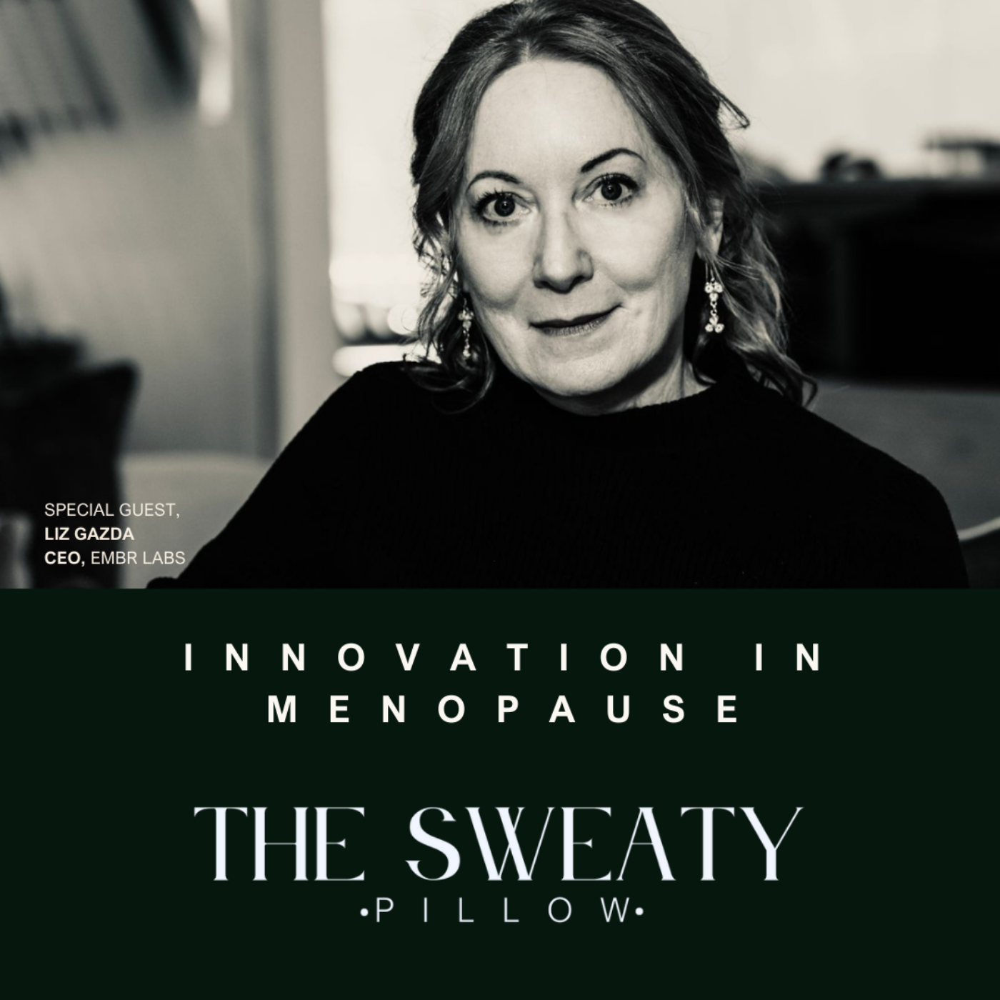 THE SWEATY PILLOW