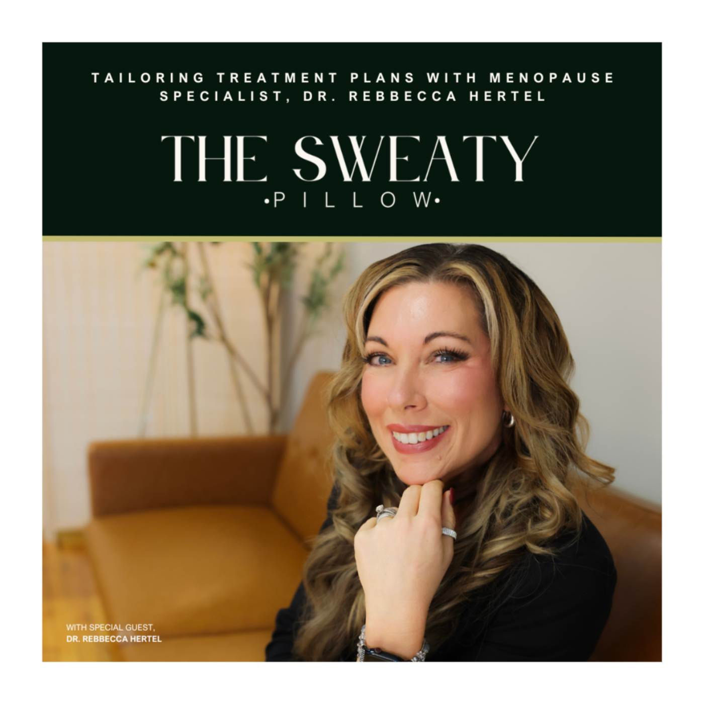 THE SWEATY PILLOW