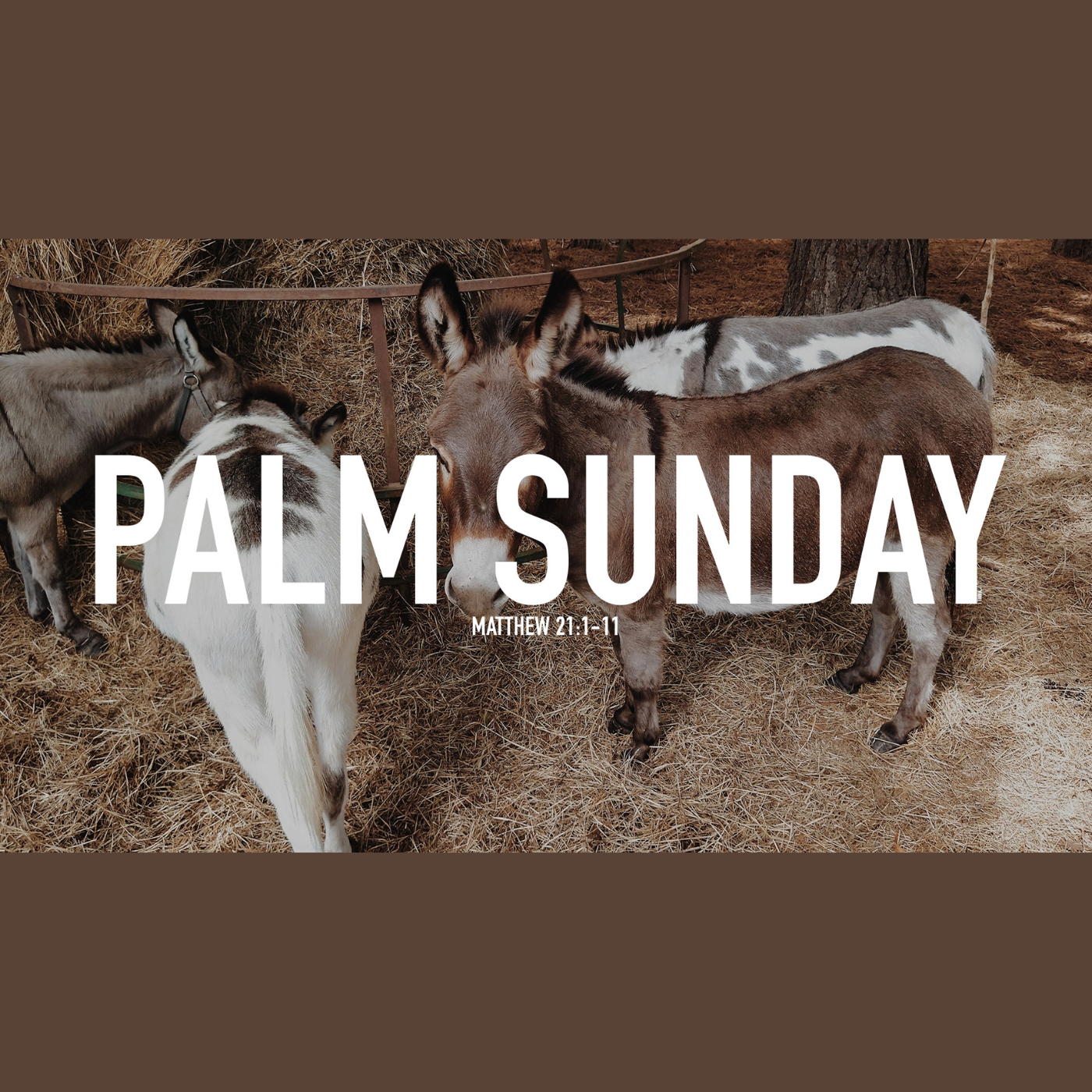 Palm Sunday 2025