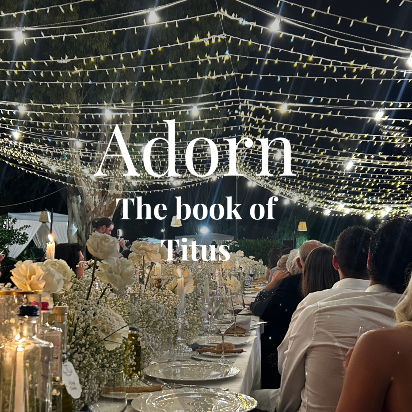 Adorn Week 1
