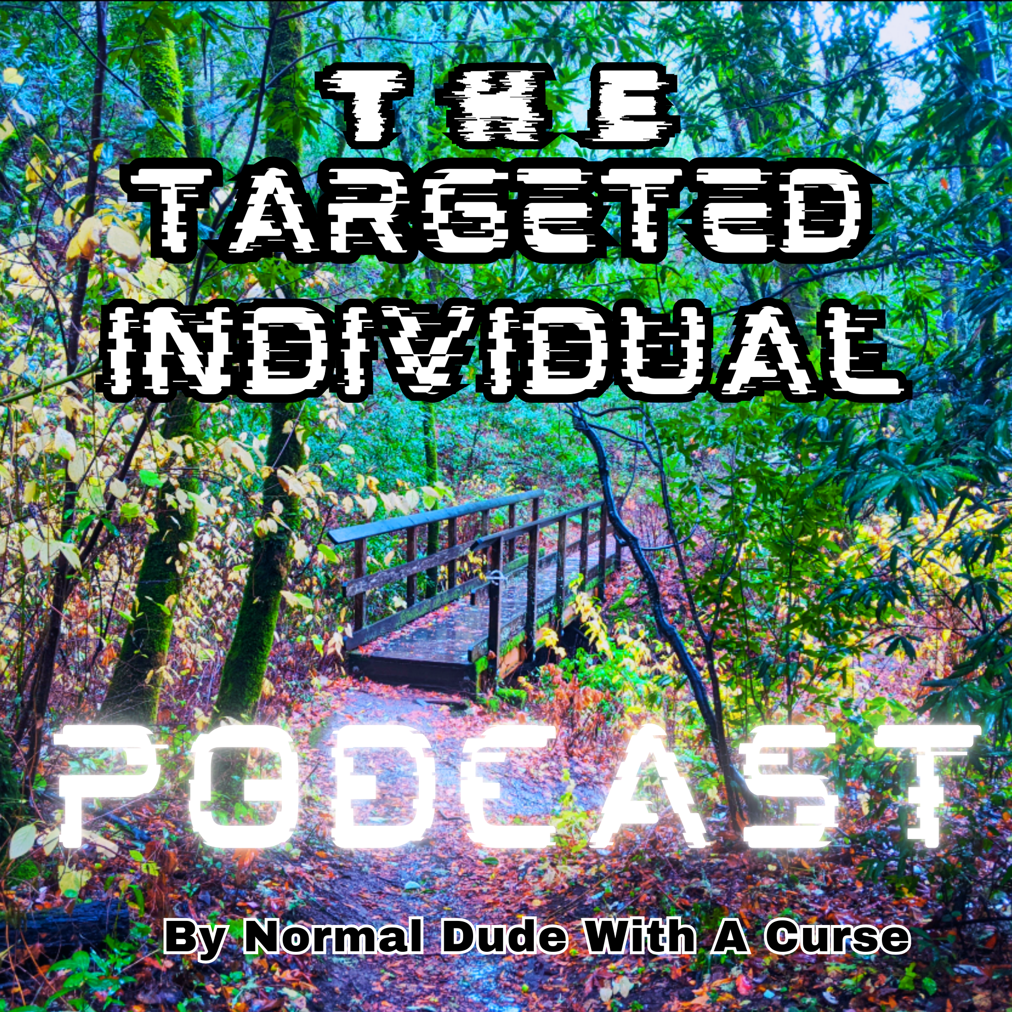 The Targeted Individual Podcast