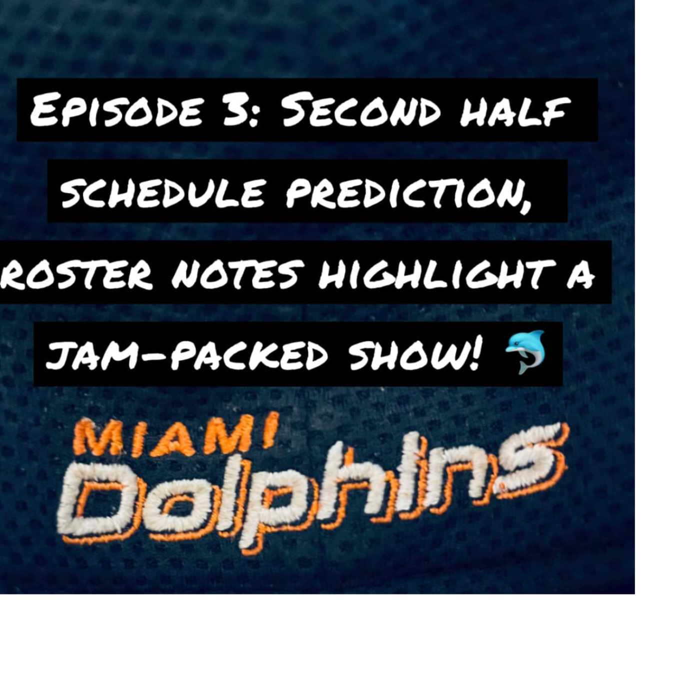 The Teal Deal: A Miami Dolphins Podcast
