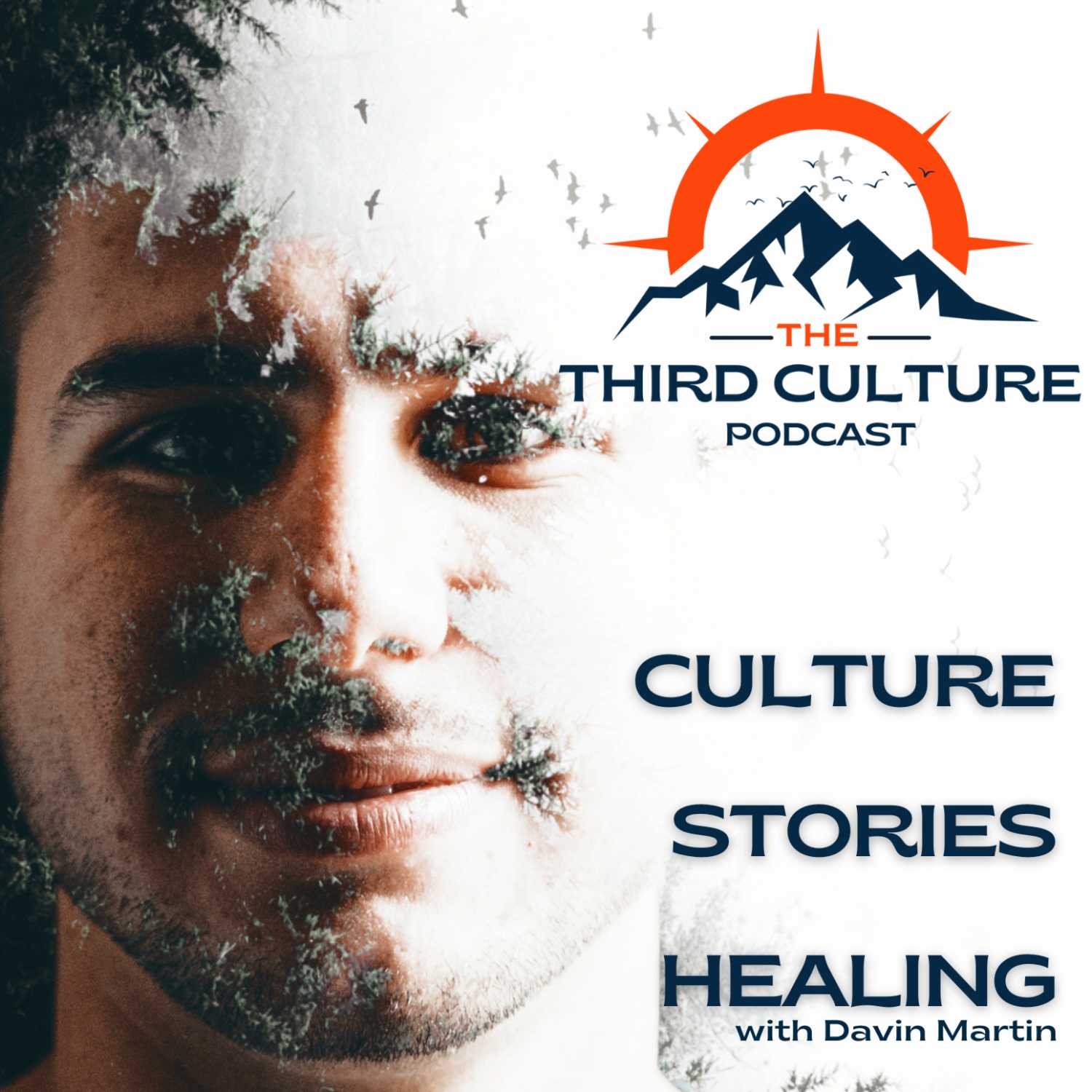 The Third Culture Podcast