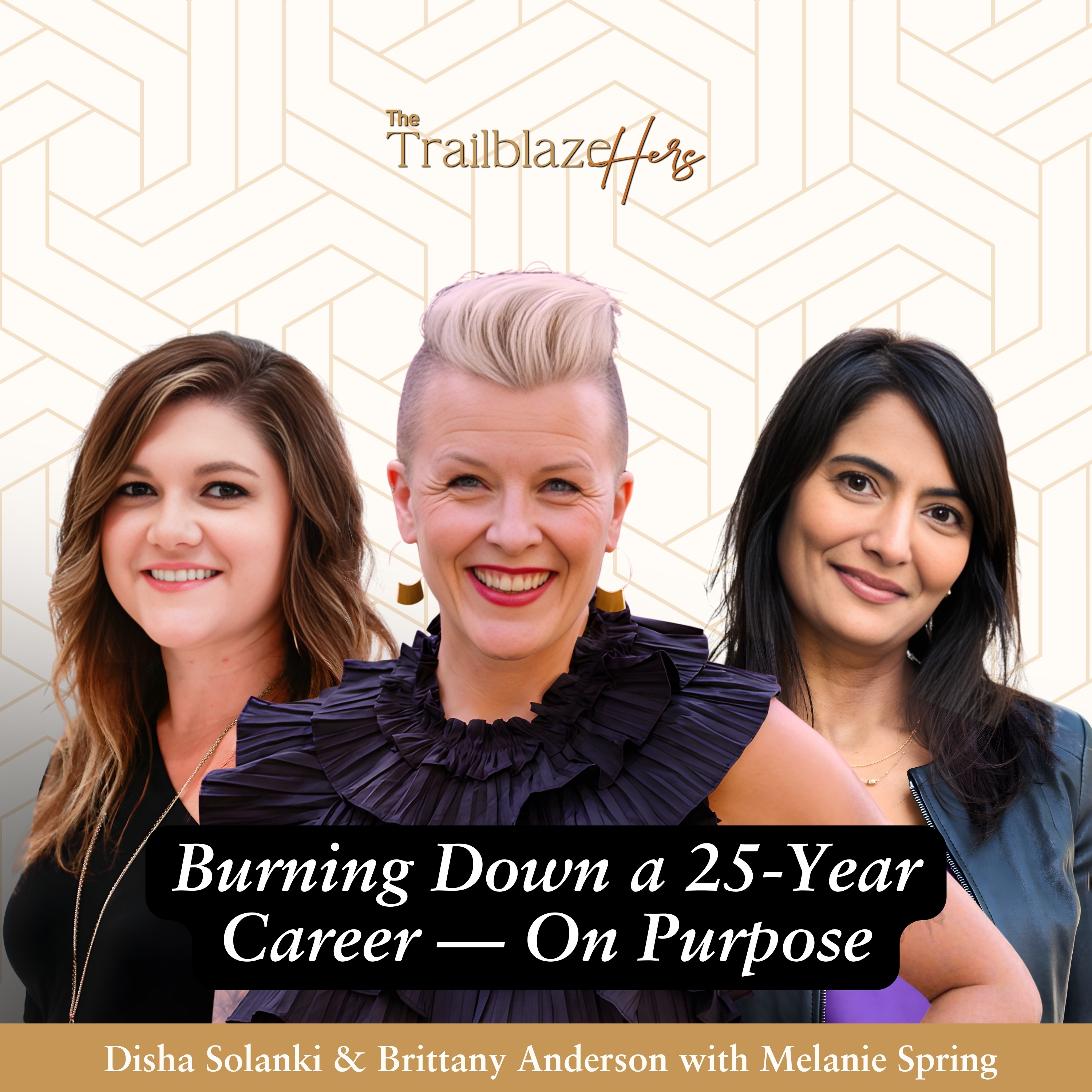 Burning Down a 25-Year Career — On Purpose episode artwork