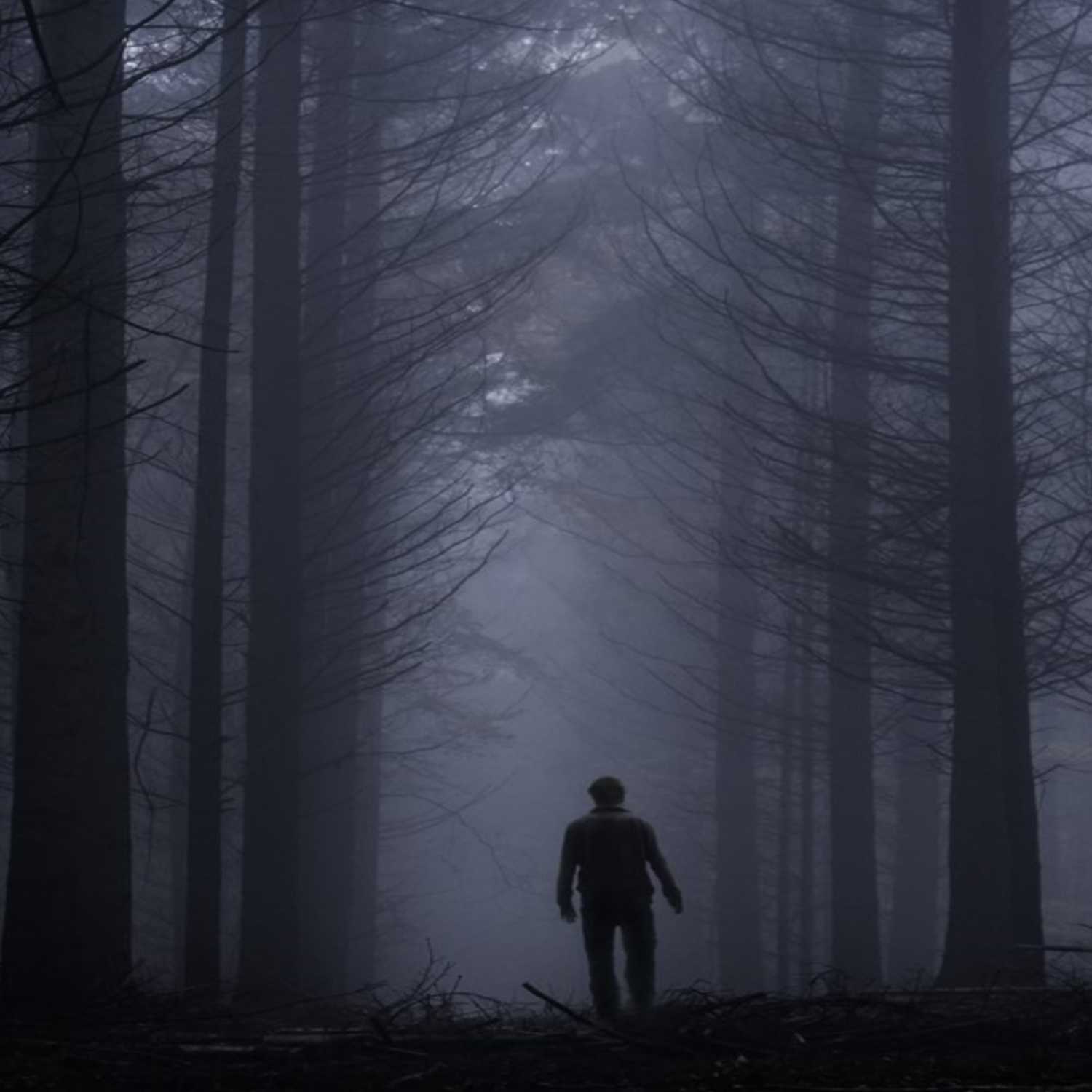 The Whispers in the Shadows