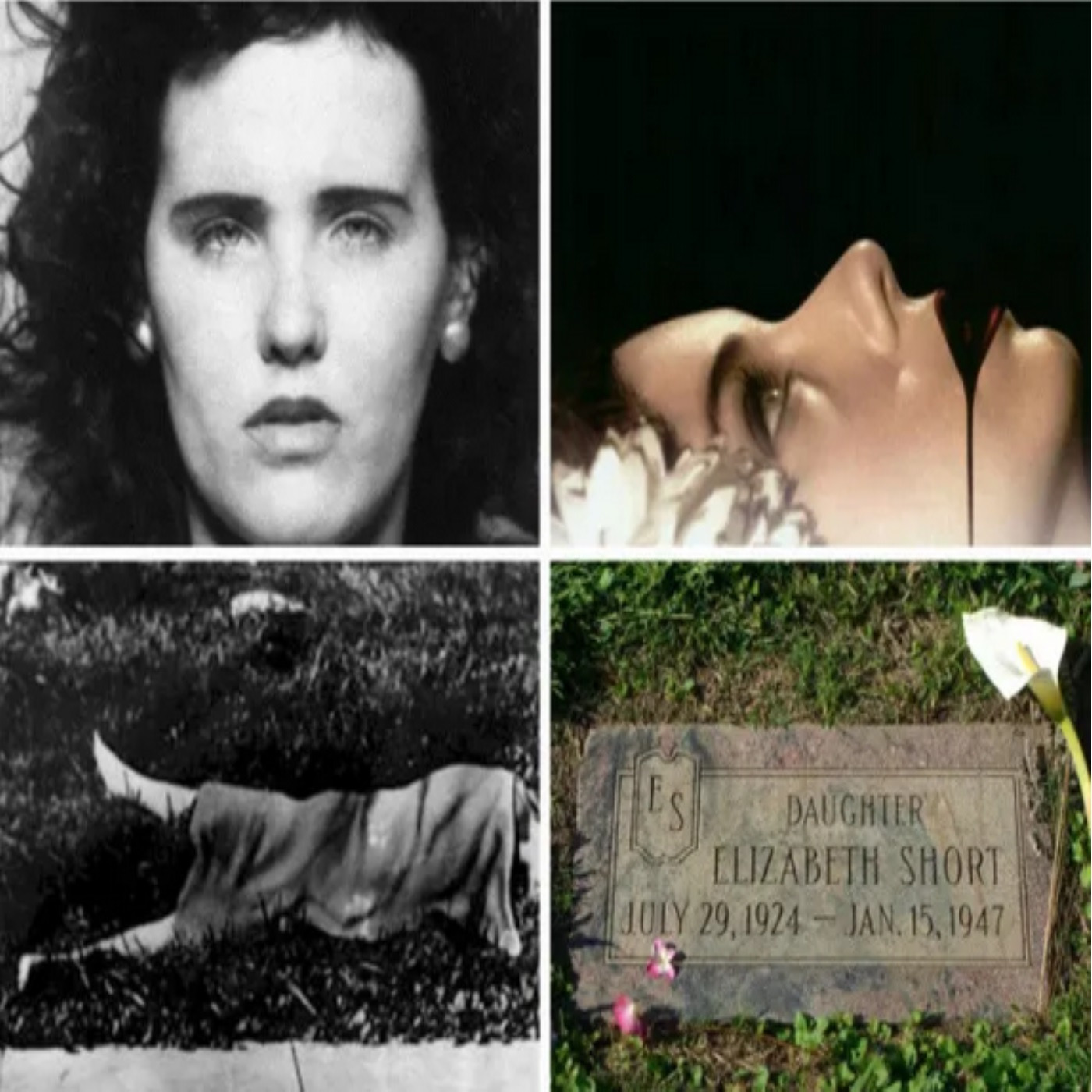 The Black Dahlia