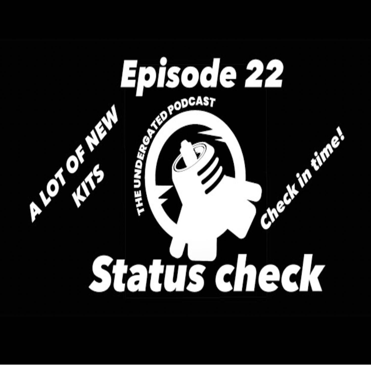 Ep. 22 Status Check In