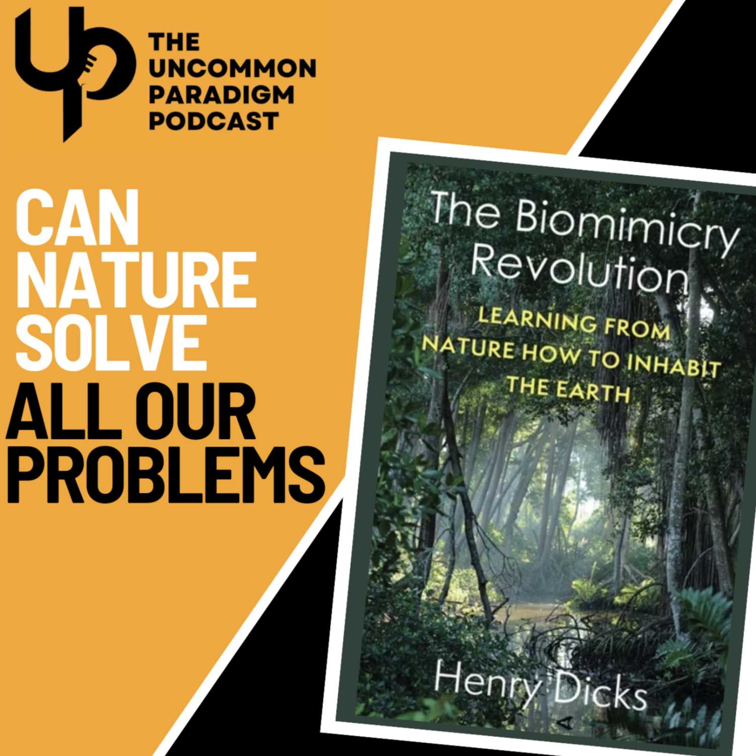 The Uncommon Paradigm Podcast