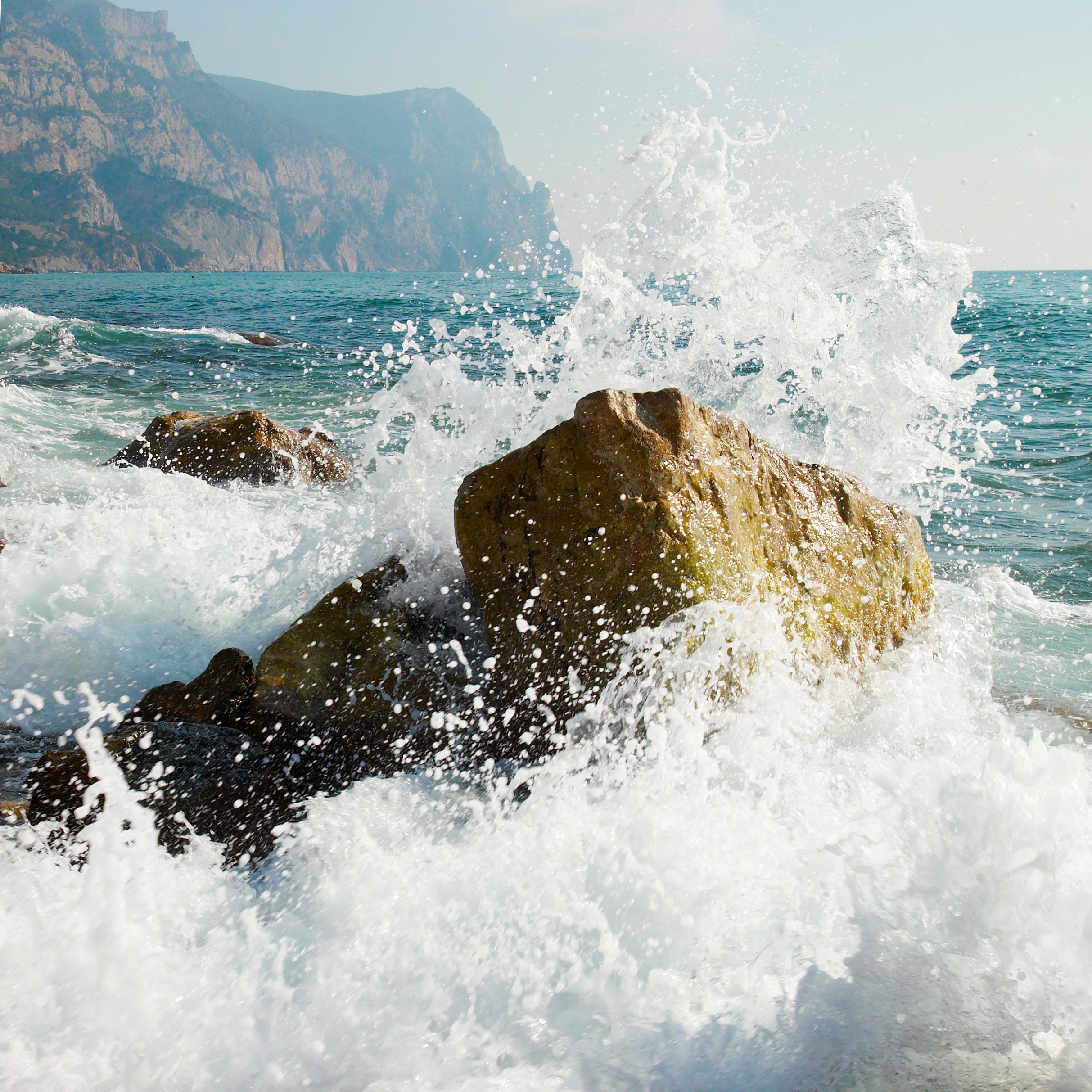 Stoicism – Master Your Mind, Turn Adversity into Strength