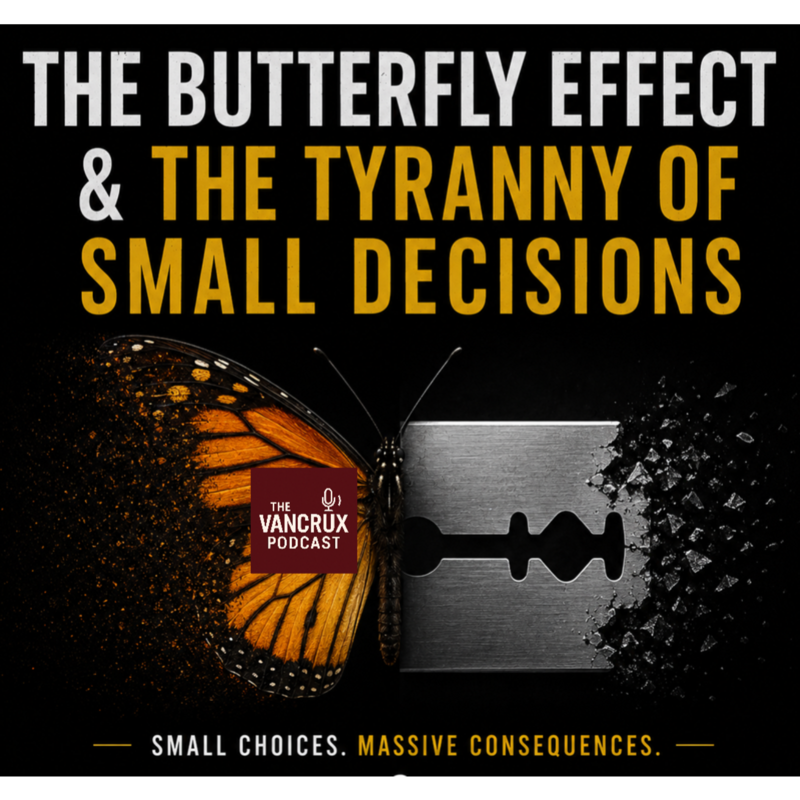 The Butterfly Effect & The Tyranny of Small Decisions episode artwork