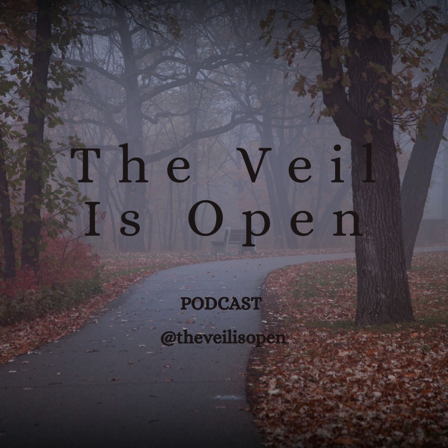 The Veil Is Open podcast artwork