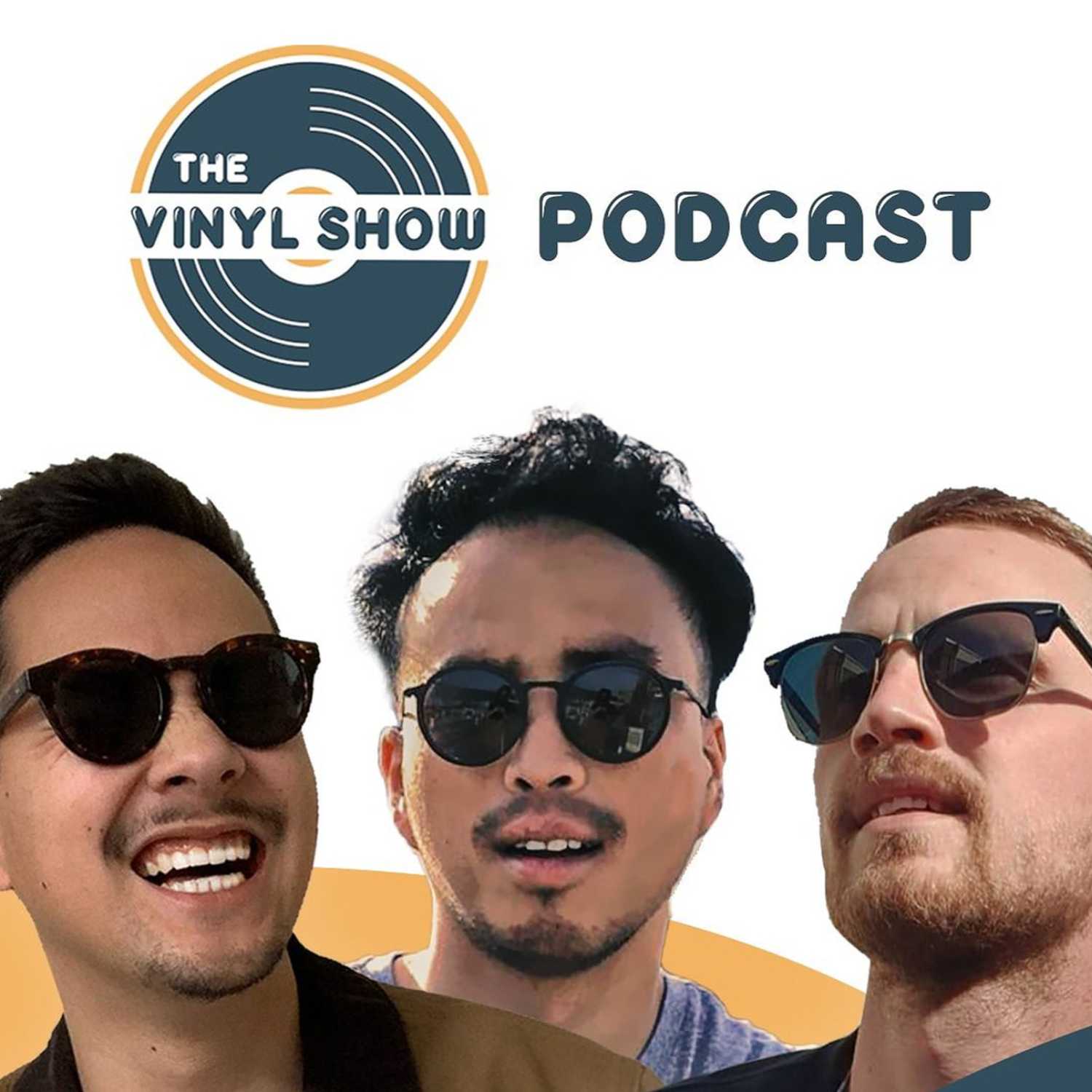 The Vinyl Show Podcast logo