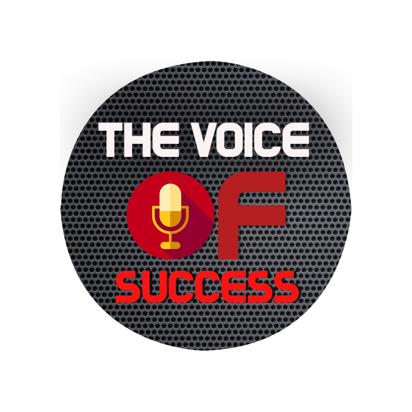 THE VOICE OF SUCCESS