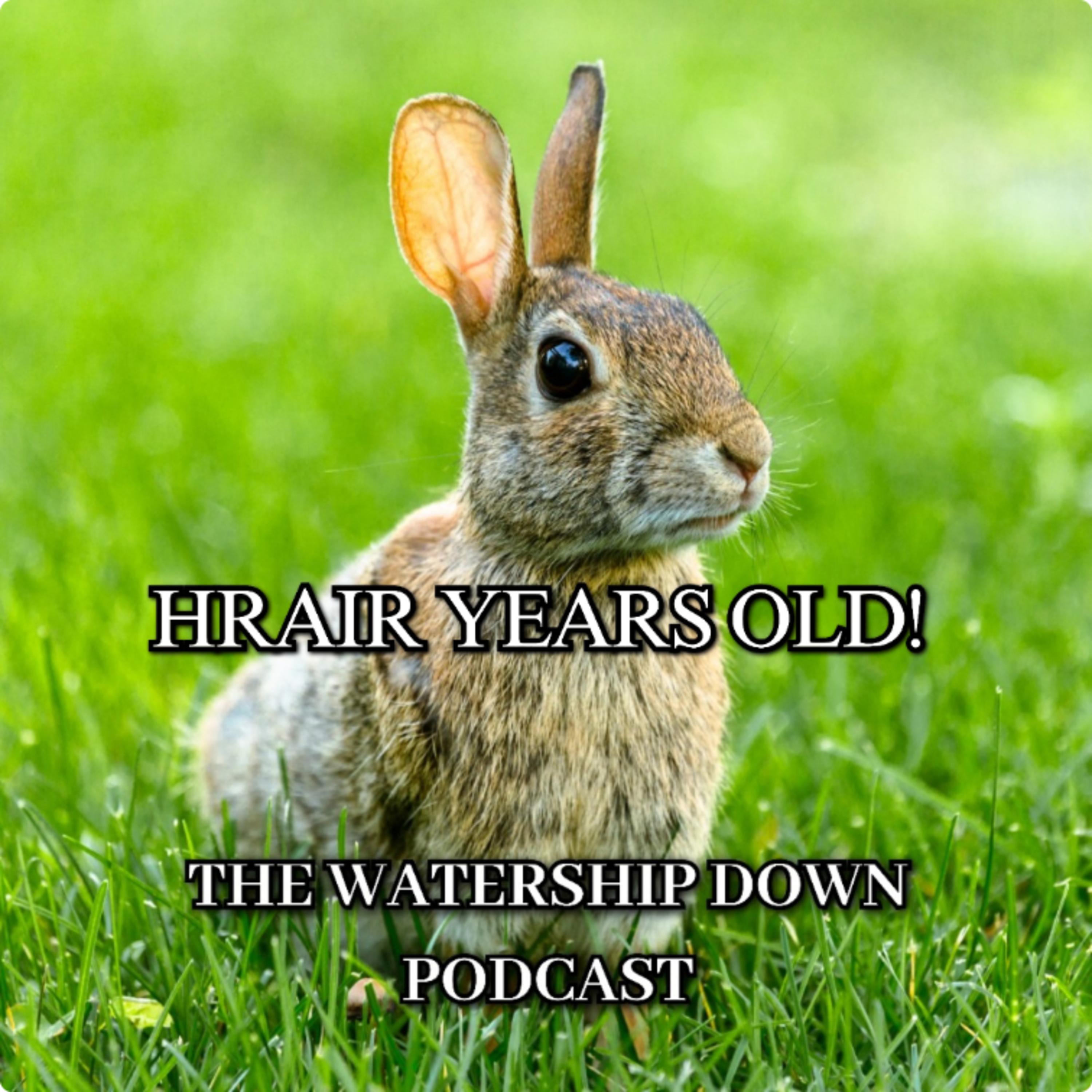 The Watership Down Podcast