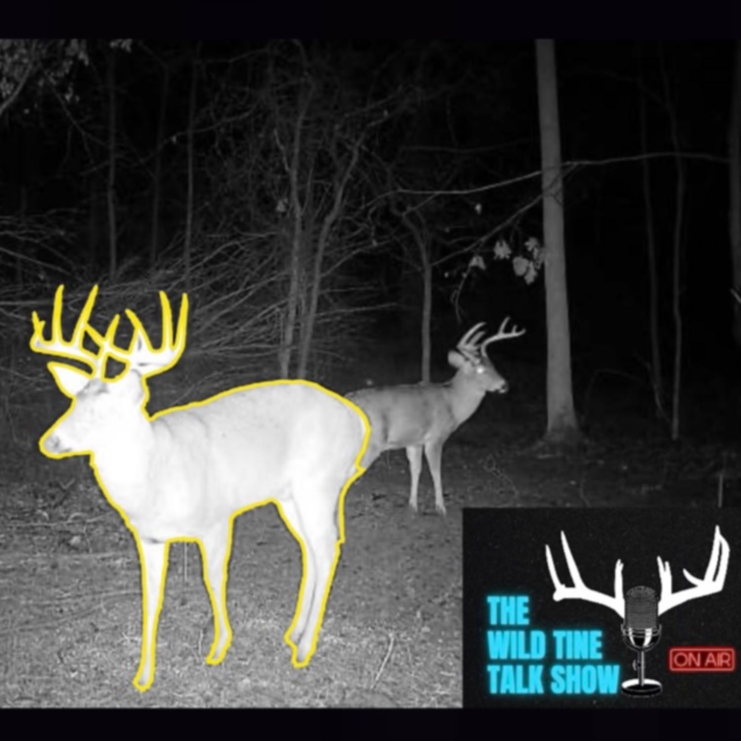 Ep. 2: Ohio Muzzleloader Heartbreak and Late Season Plans
