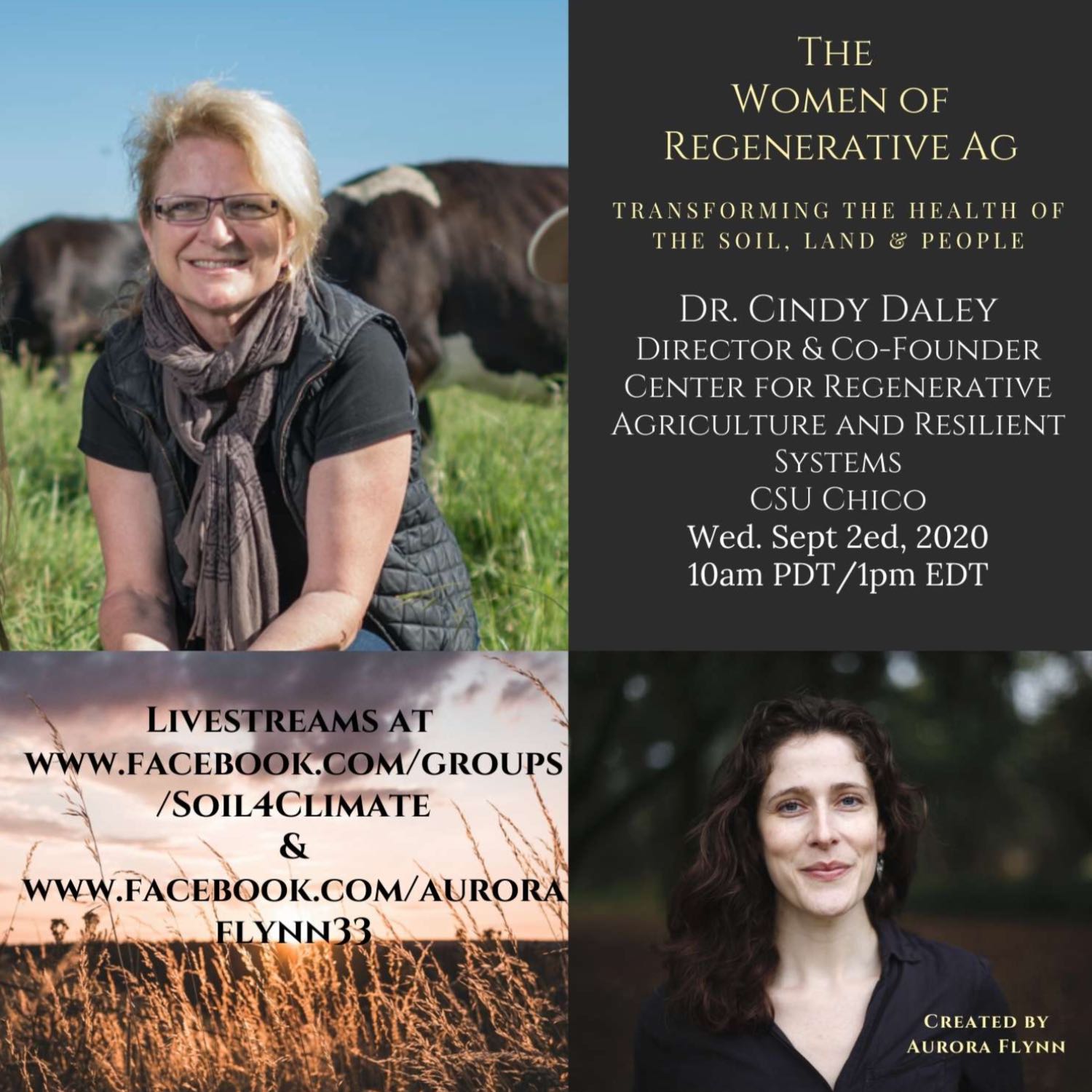 Transforming Nt Land: Innovative Soil Stabilisation Techniques - 0cas9q0