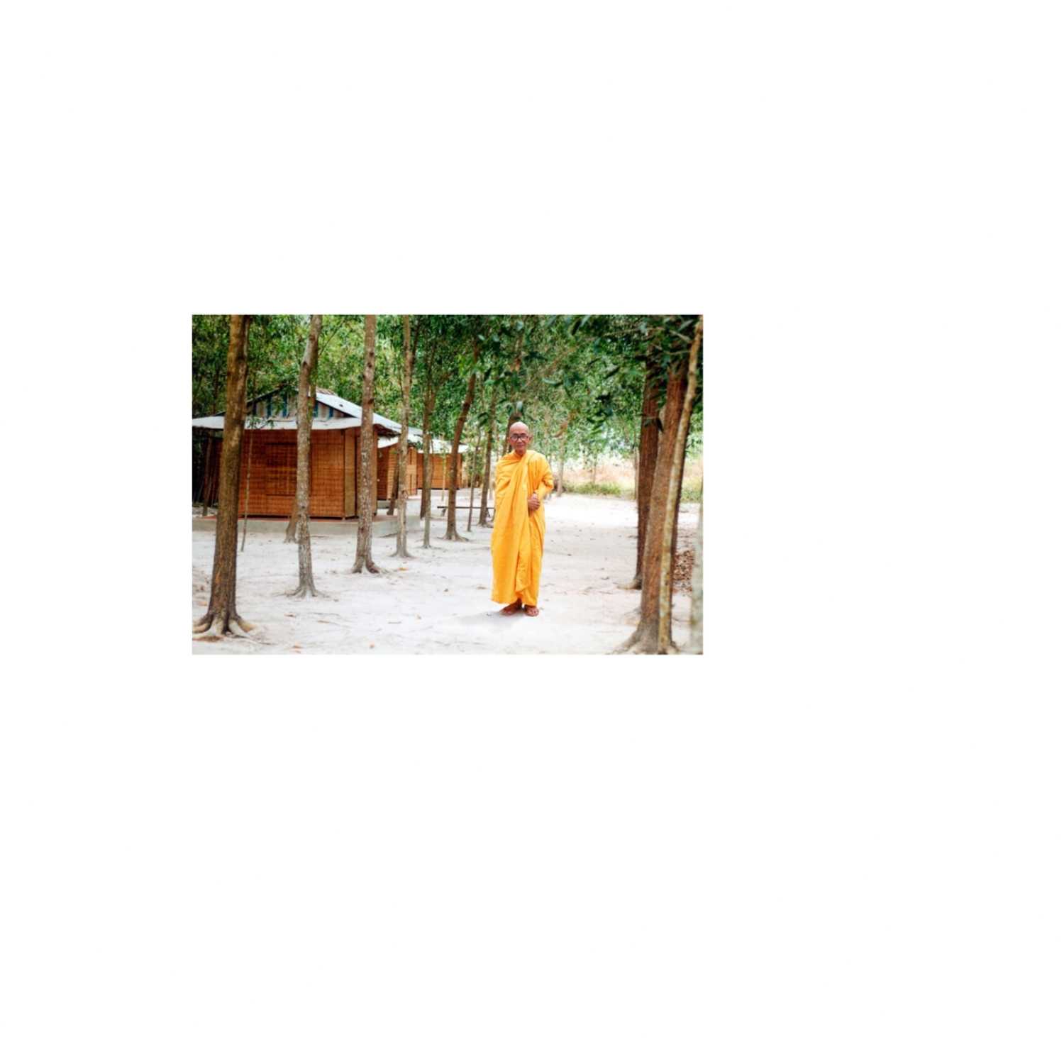 5 Bài Giảng Quan Trọng Của Đức Trưởng Lão Thích Thông Lạc -5 Important Discourses of the Elder Thich Thong Lac  episode artwork