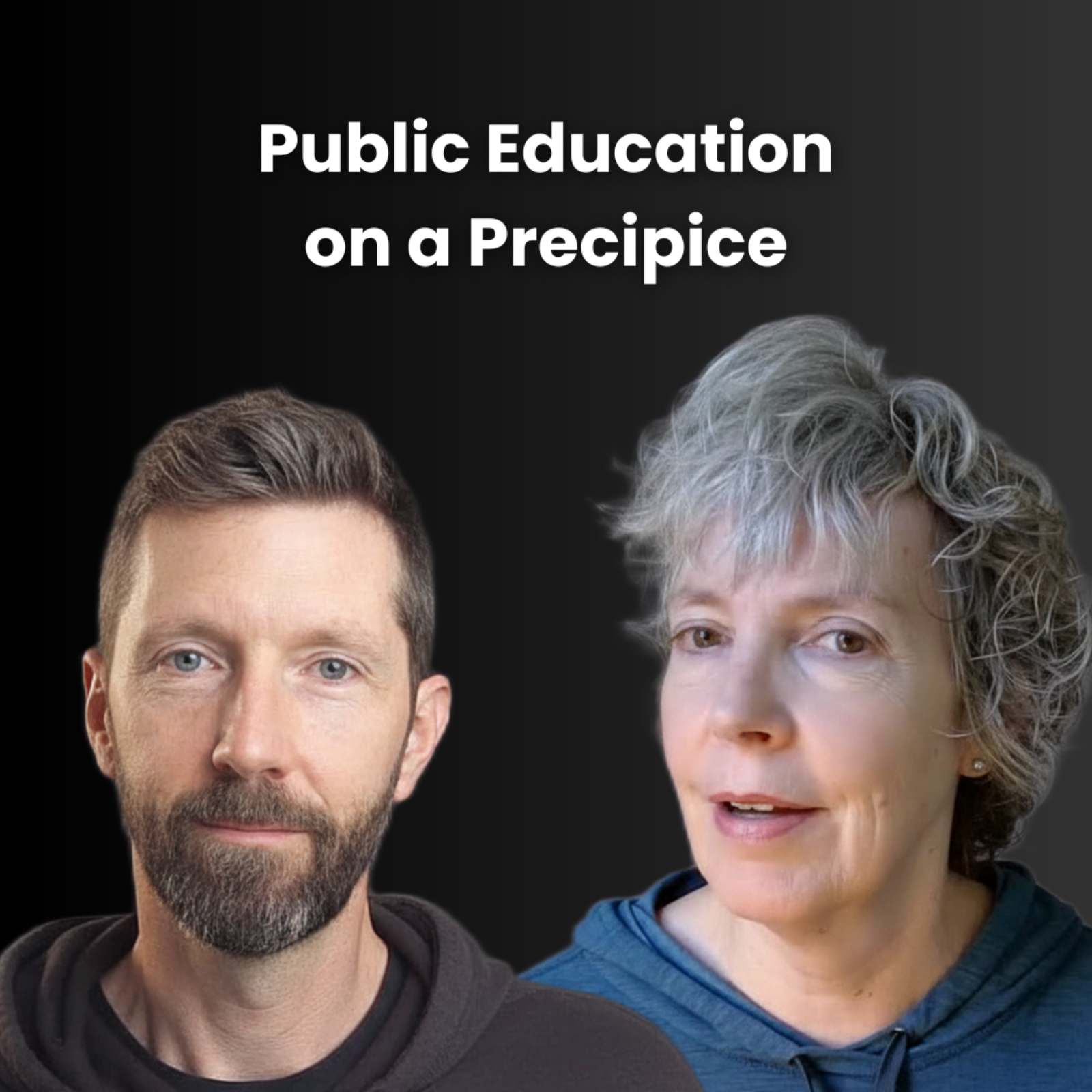 Public Education on the Precipice: Narratives, Inclusion, and What’s at Stake