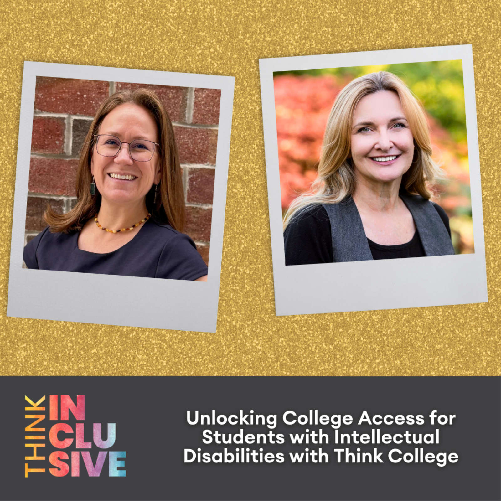 Unlocking College Access for Students with Intellectual Disabilities with Think College episode artwork