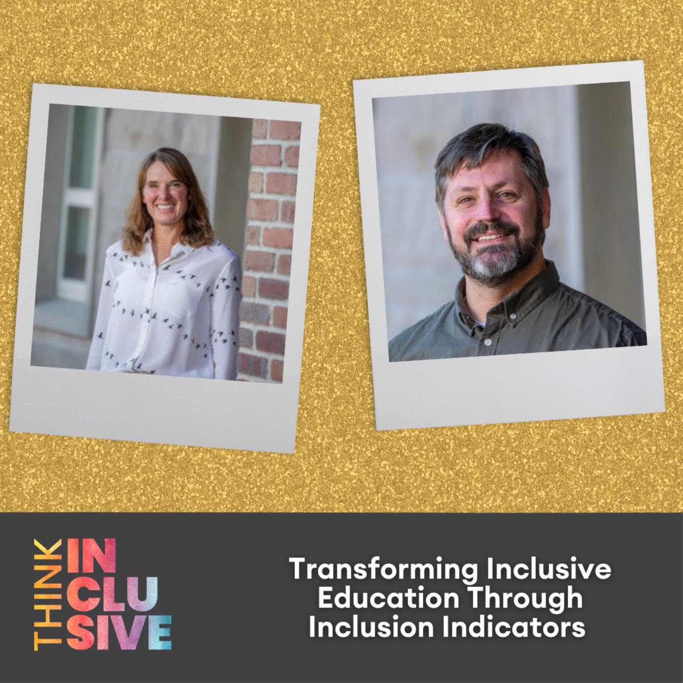 Transforming Inclusive Education Through Inclusion Indicators