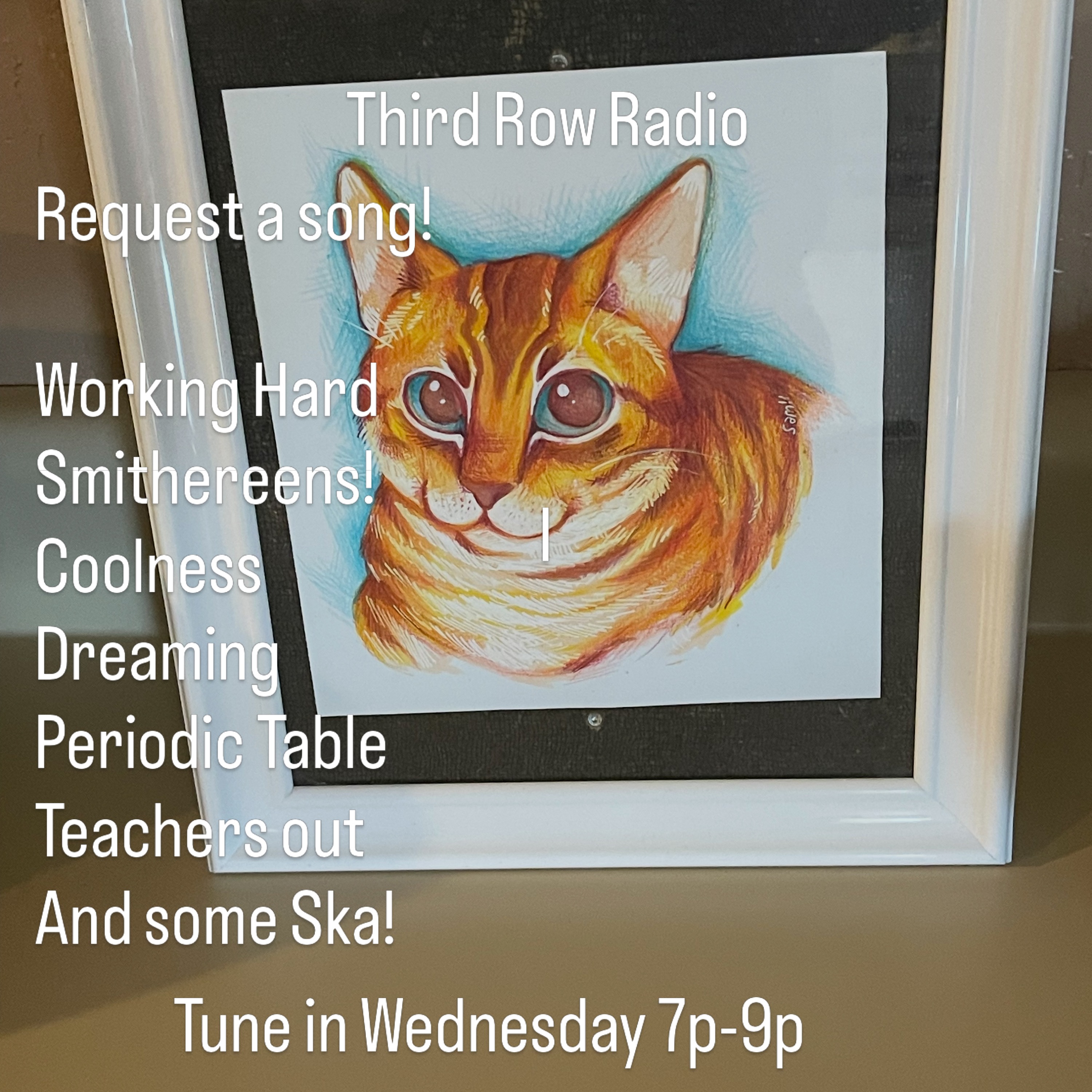 Third Row Radio #6