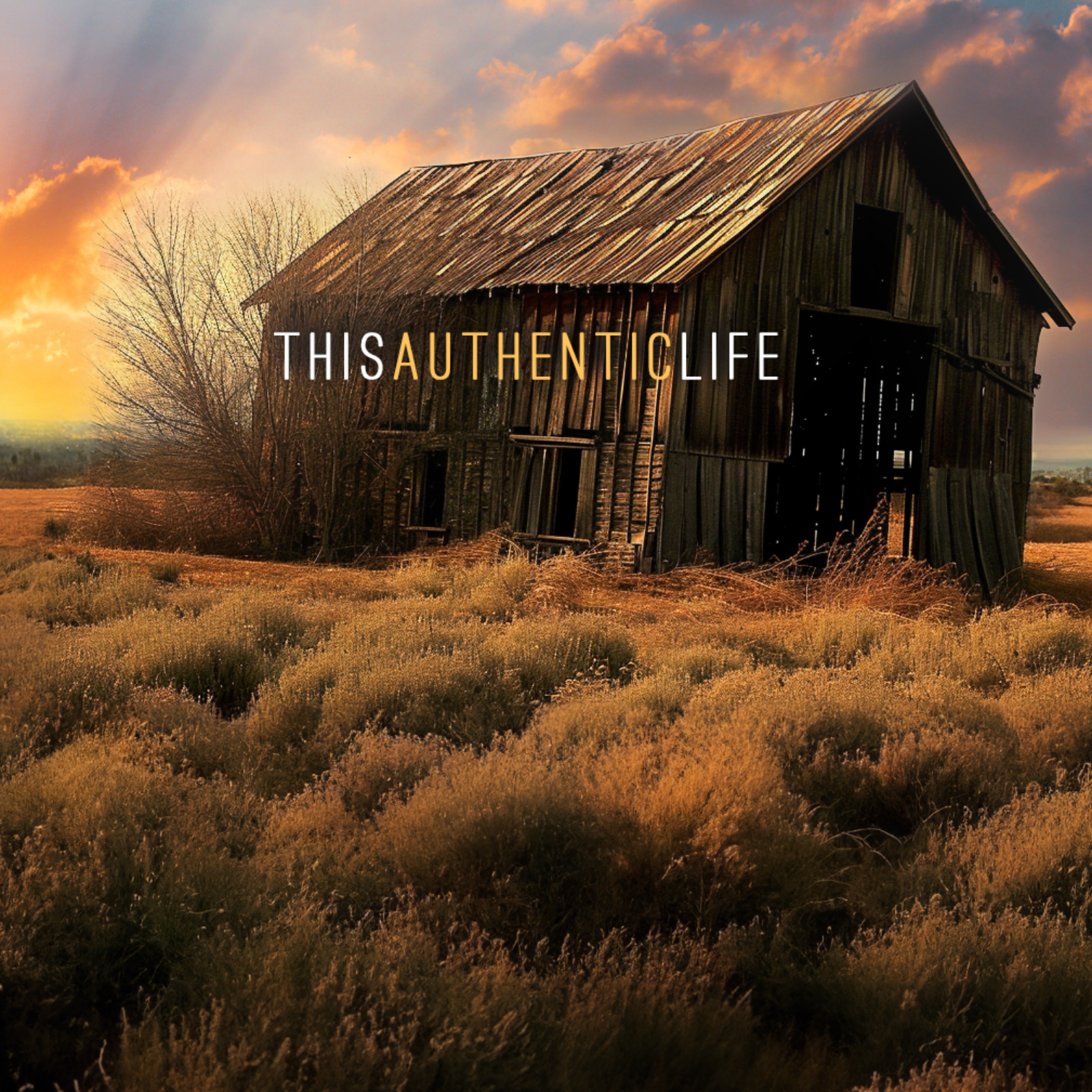 This Authentic Life