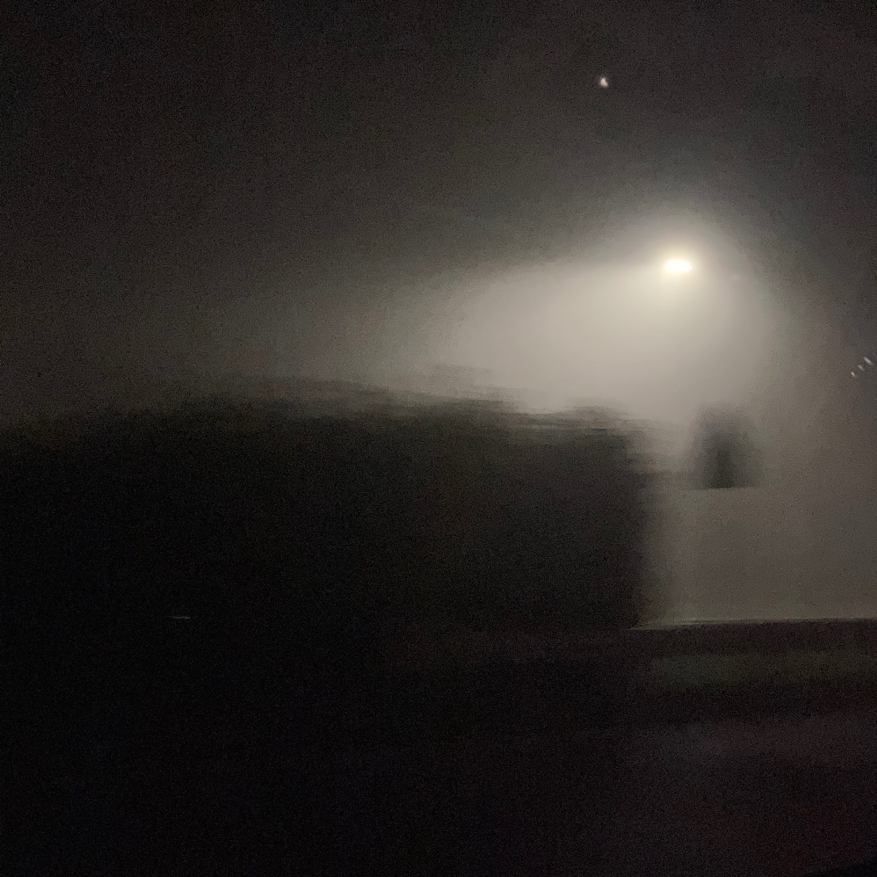 This bloody virus cover art