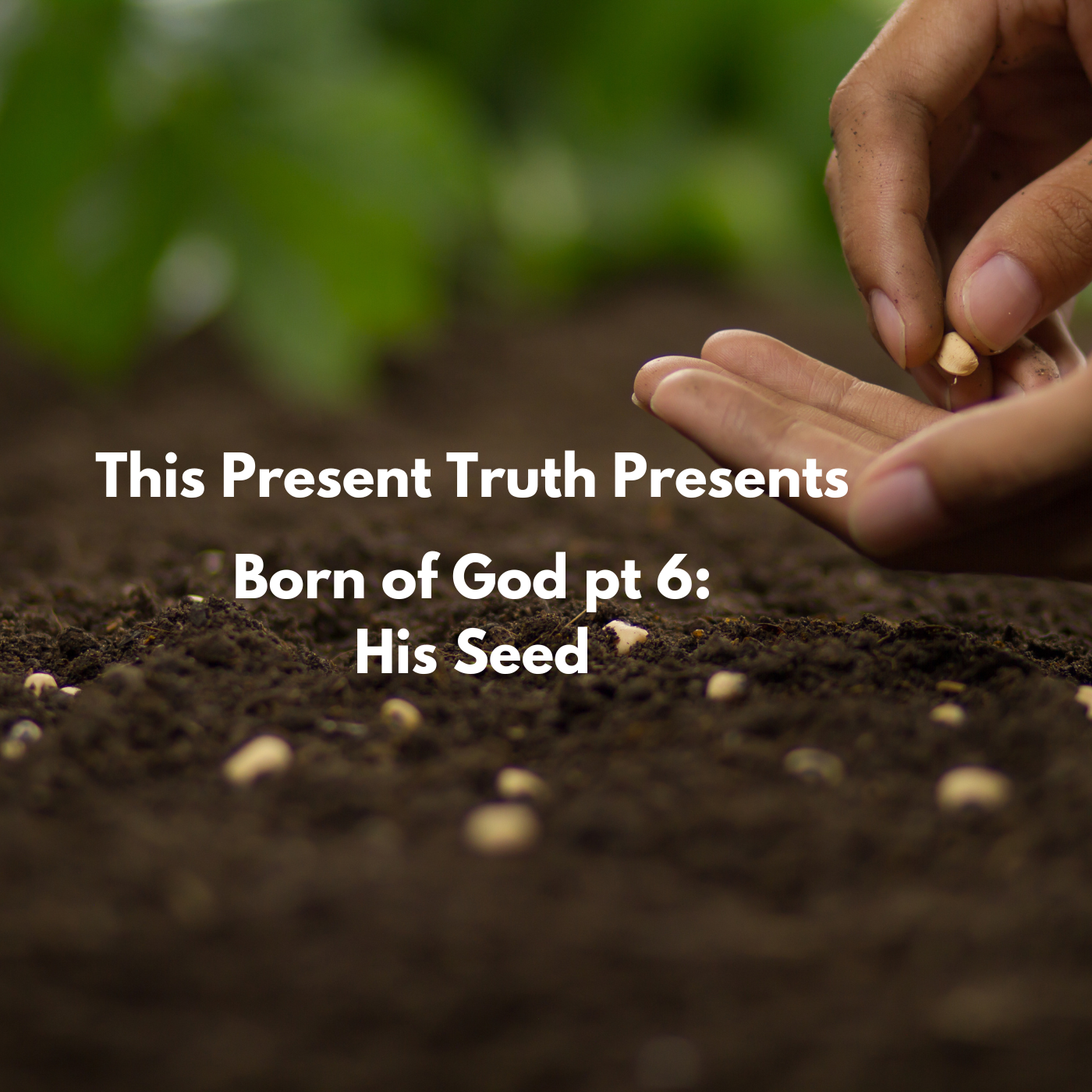 This Present Truth