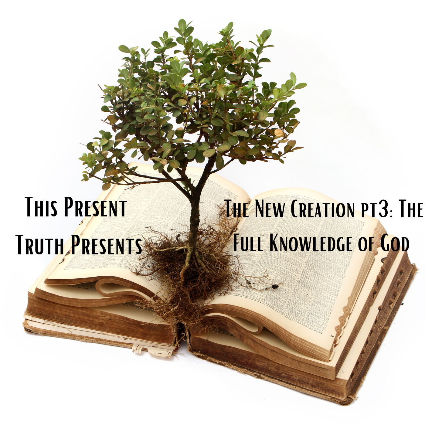 This Present Truth