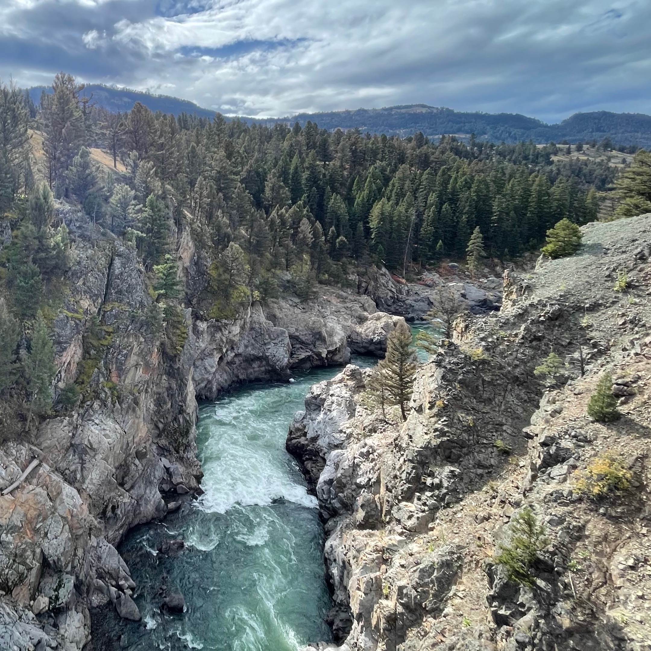 This Week in Yellowstone National Park