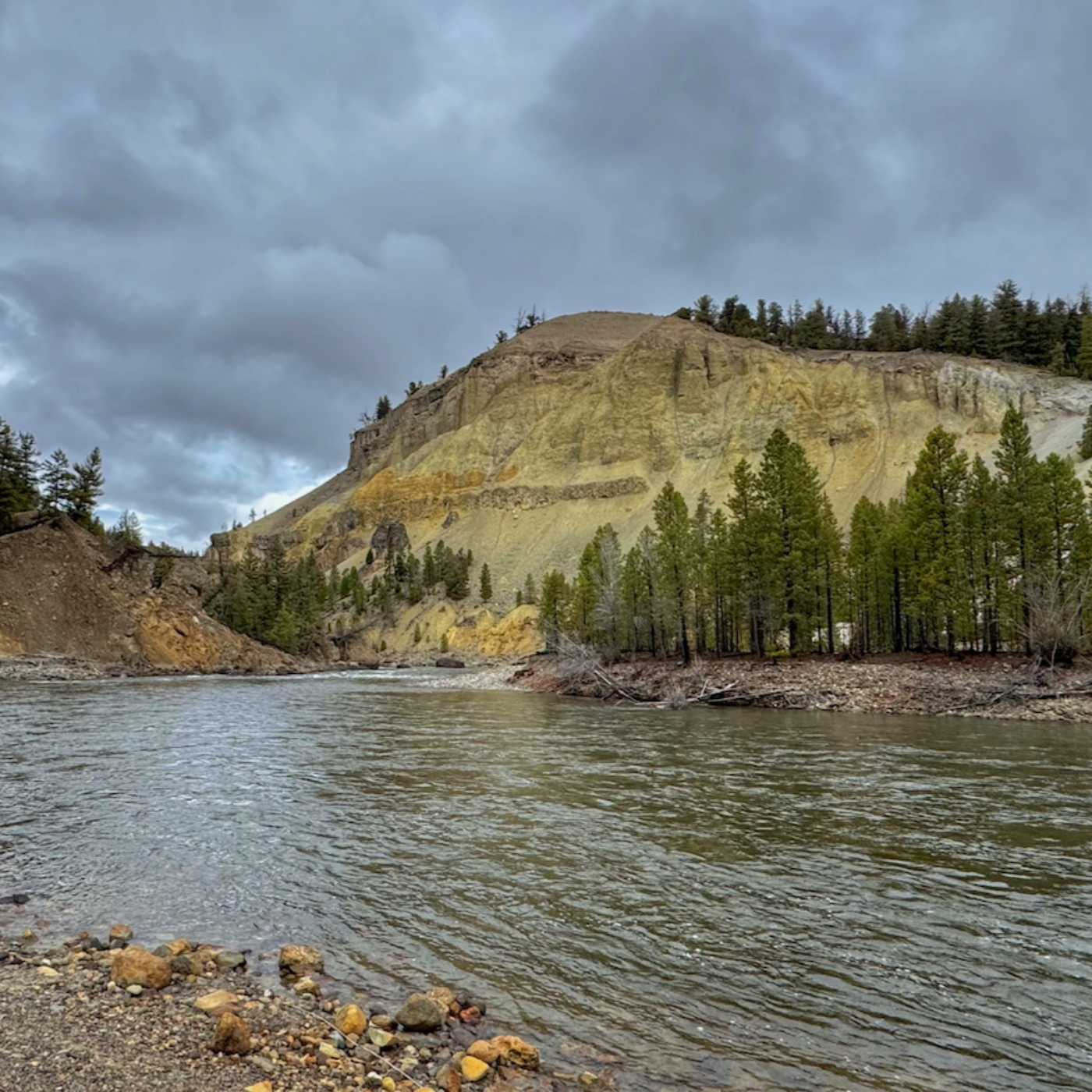 This Week in Yellowstone National Park